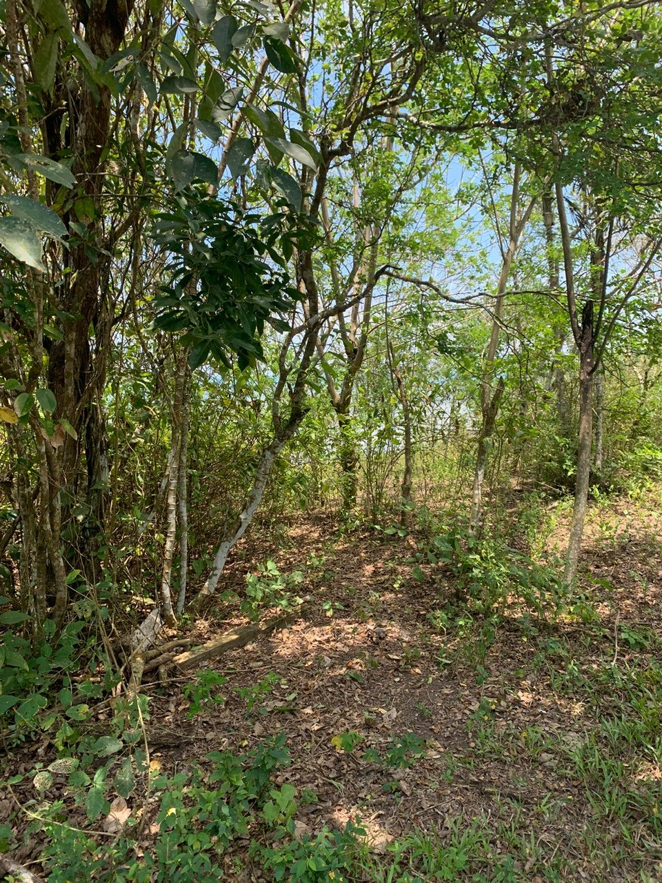 Listing photo 5