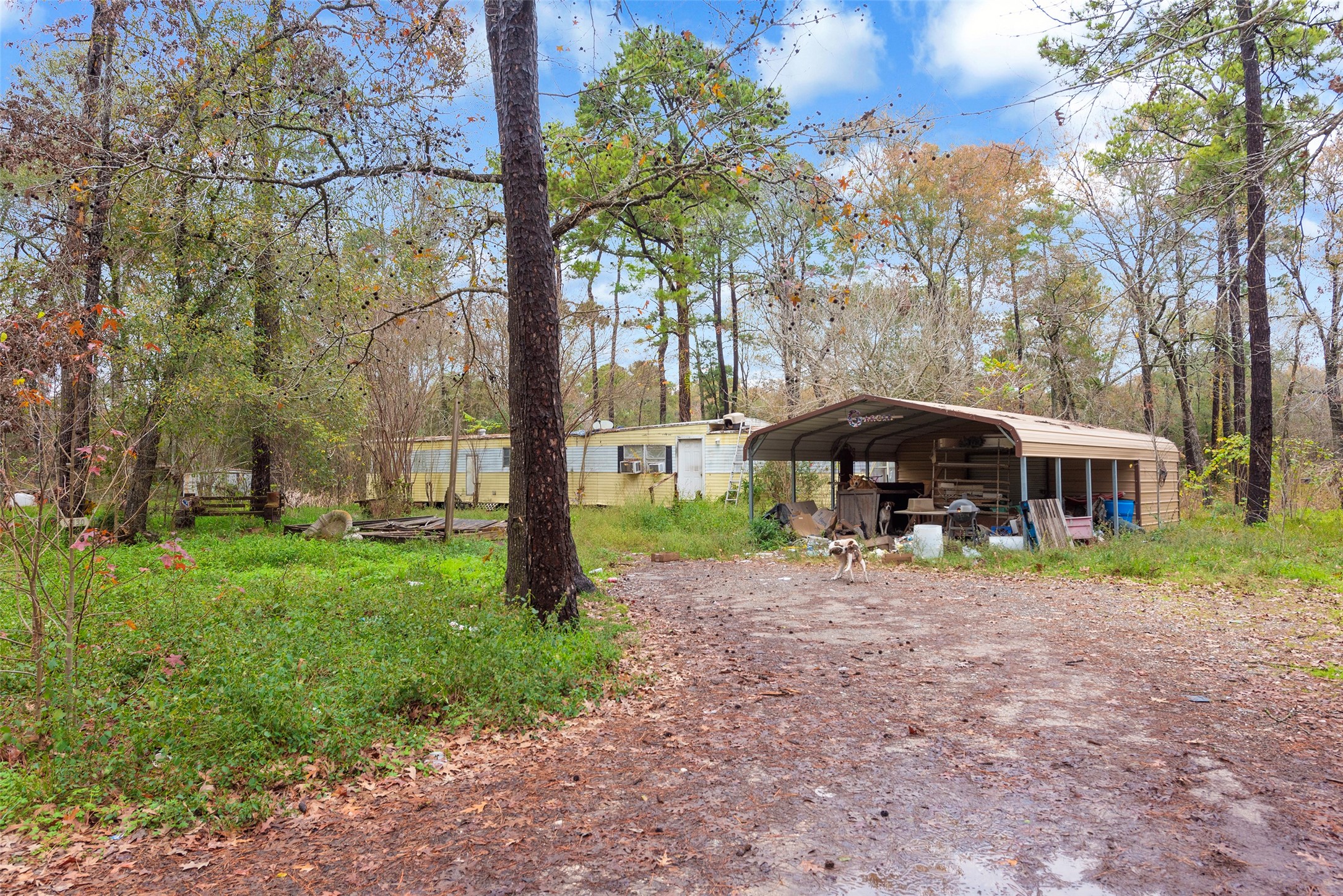 Listing photo 3