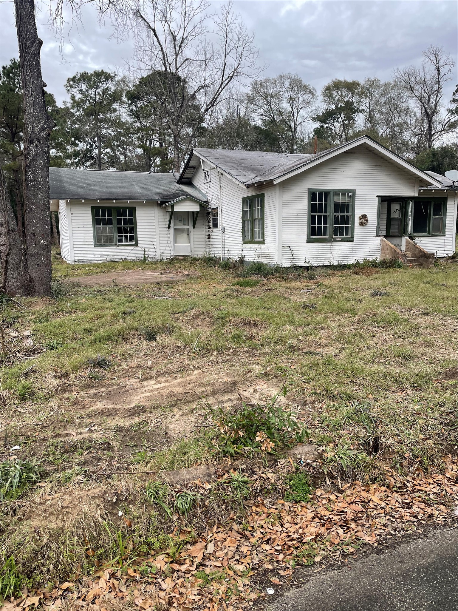 Listing photo 1