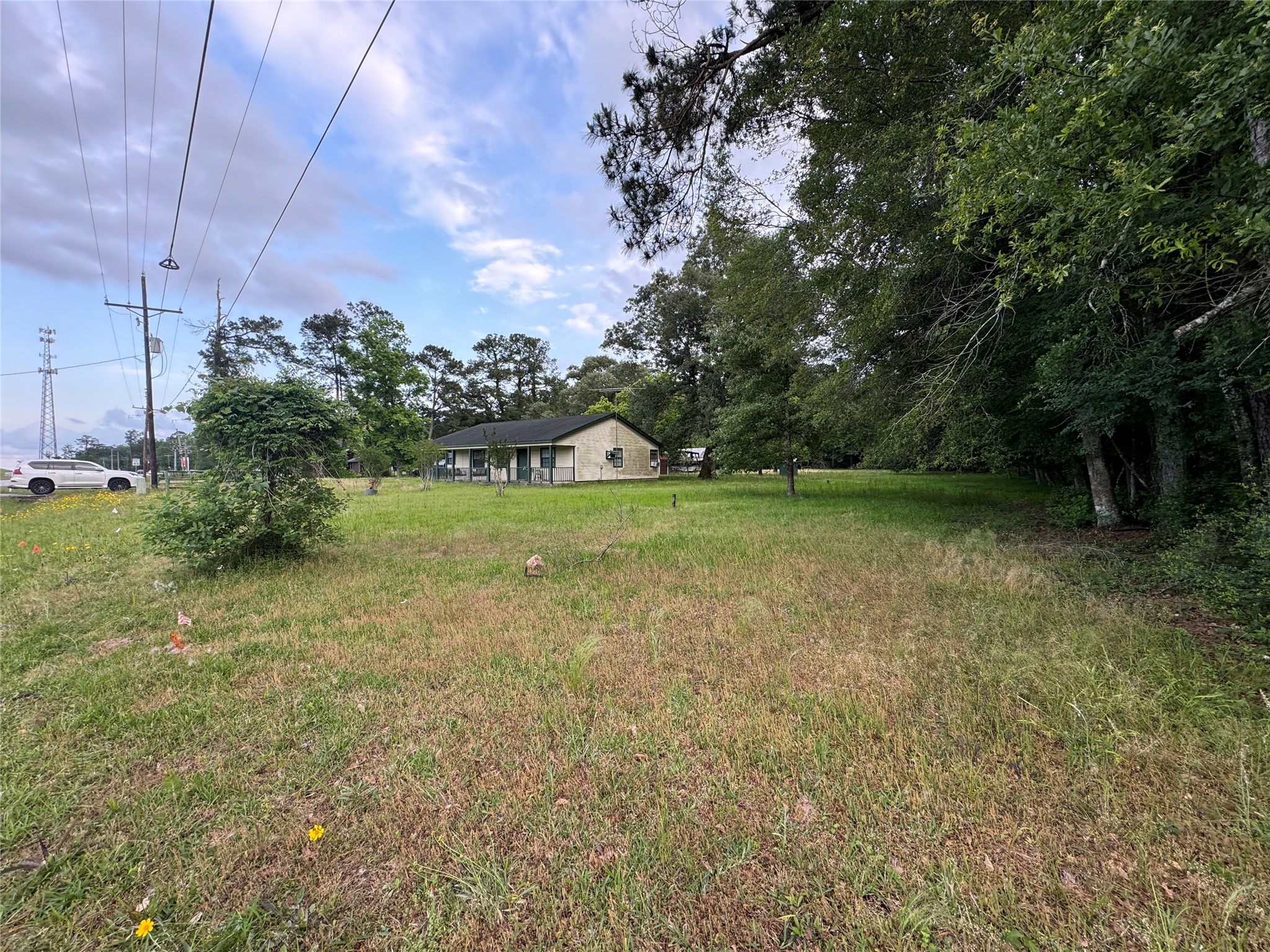 Listing photo 5