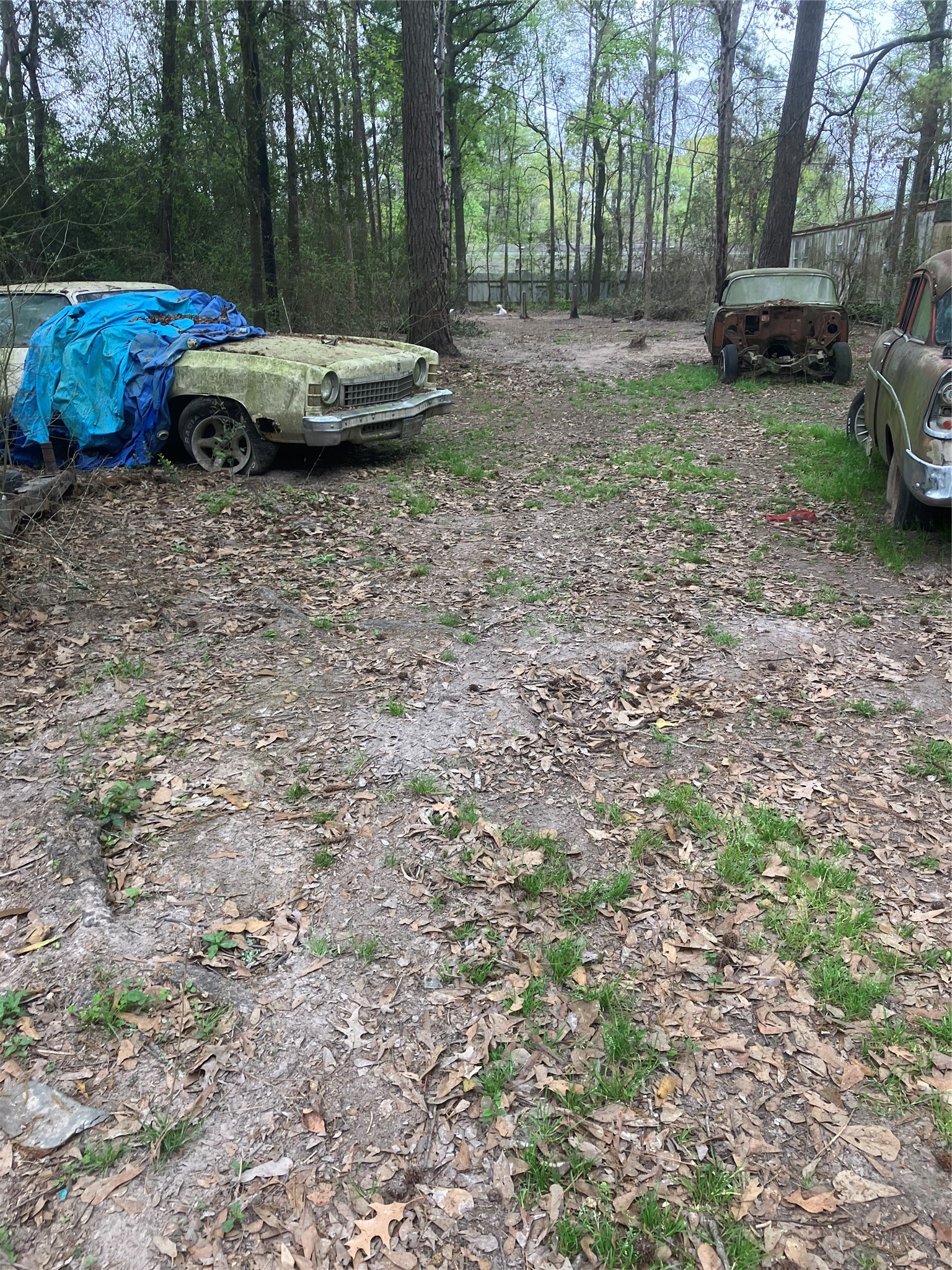 Listing photo 3