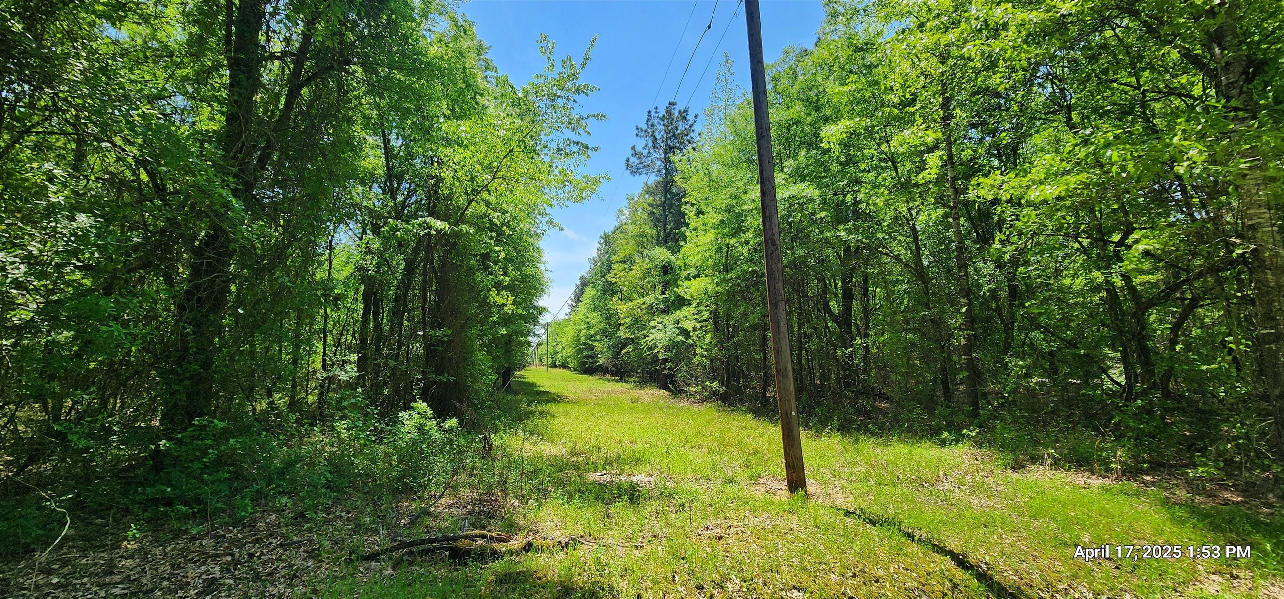 Listing photo 5