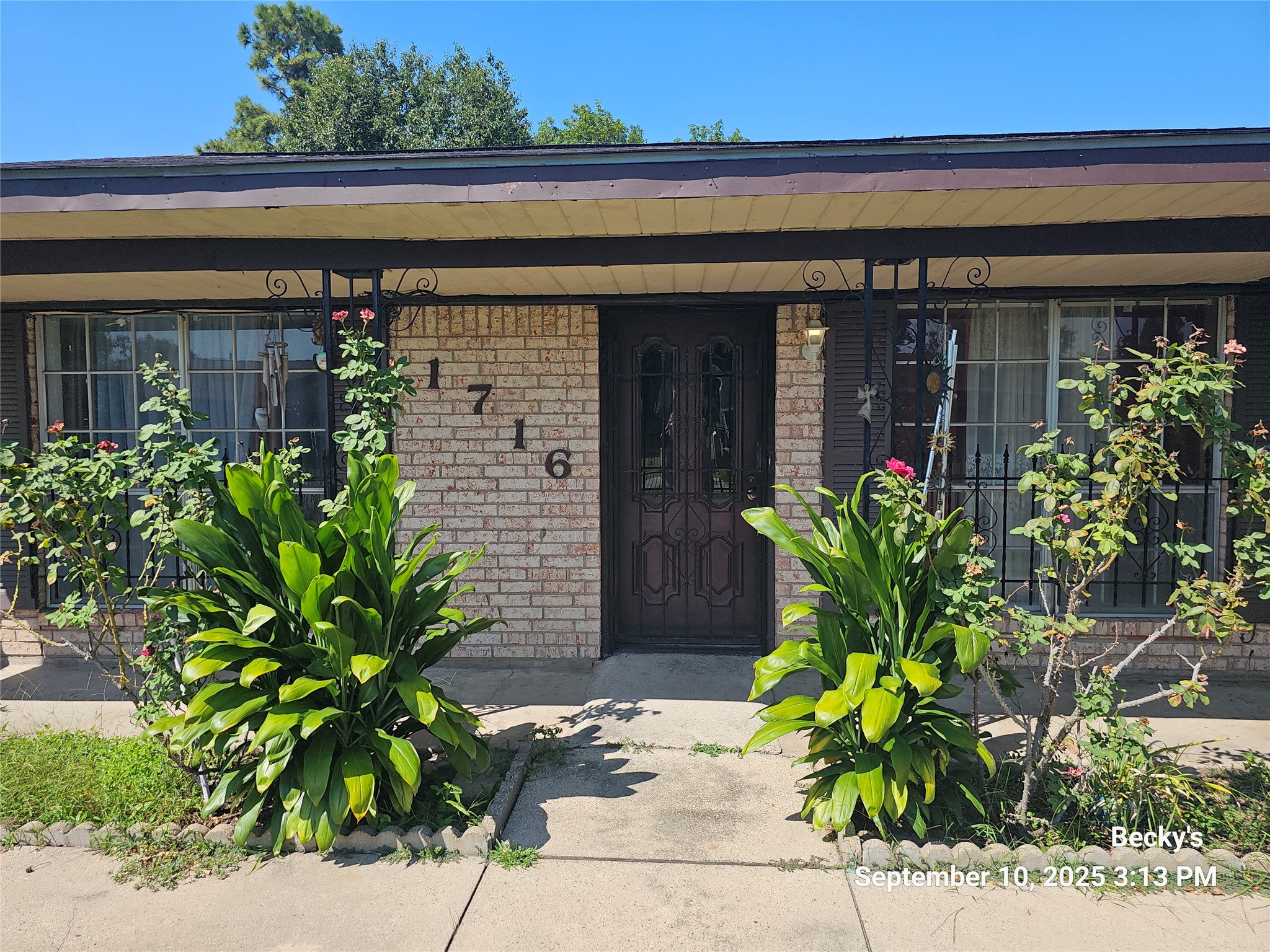 Listing photo 1