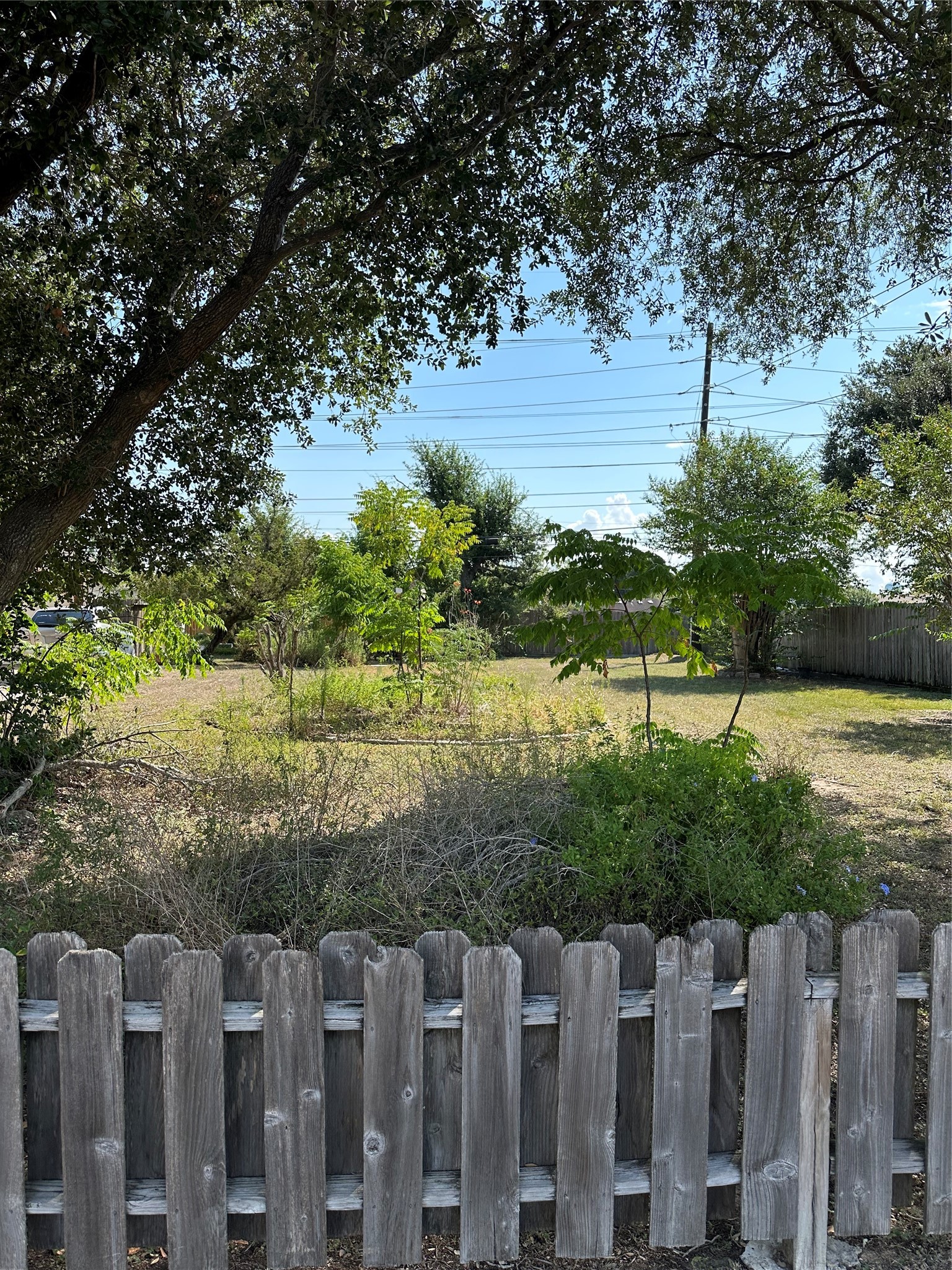 Listing photo 3