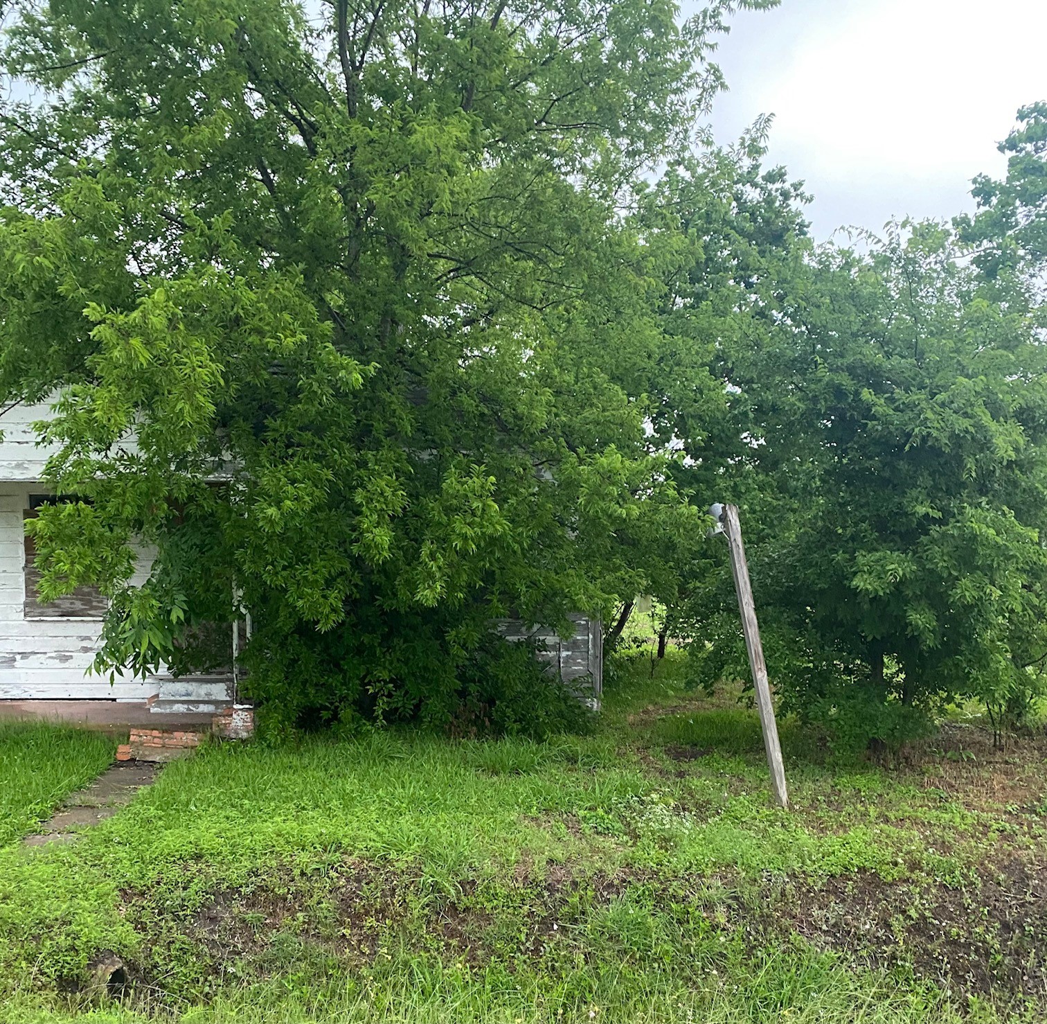 Listing photo 1