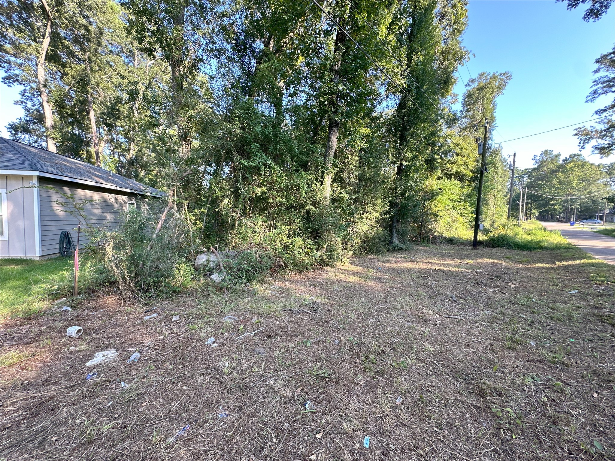 Listing photo 5