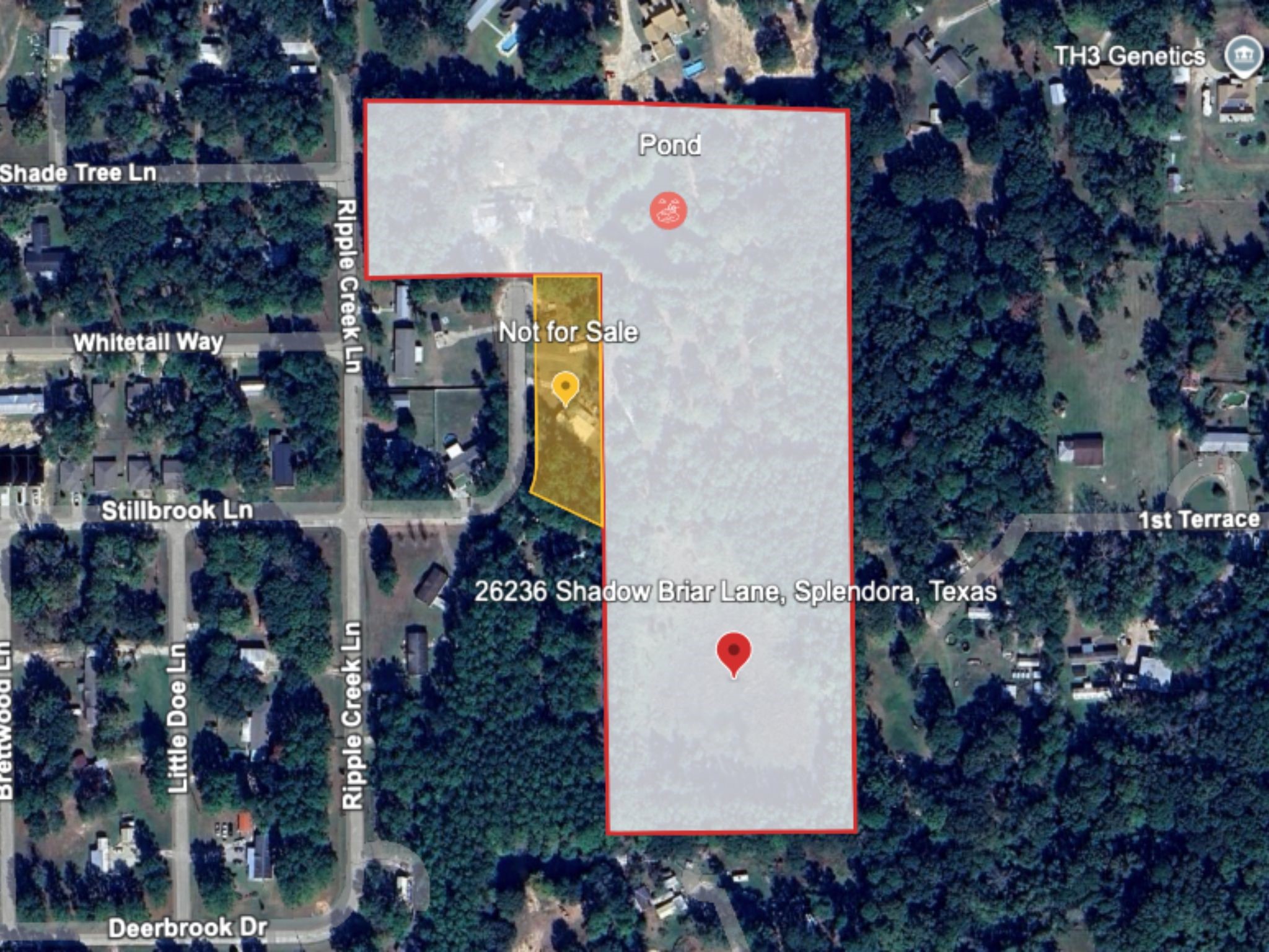 Listing photo 1