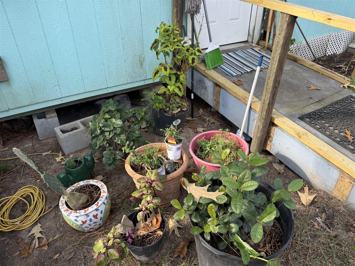 Listing photo 5