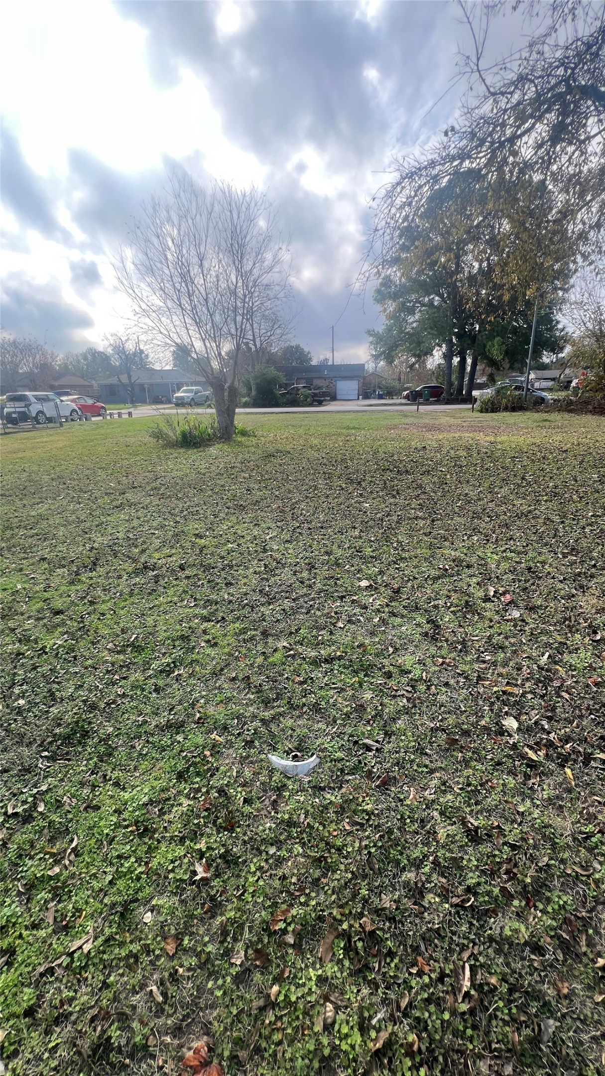 Listing photo 5