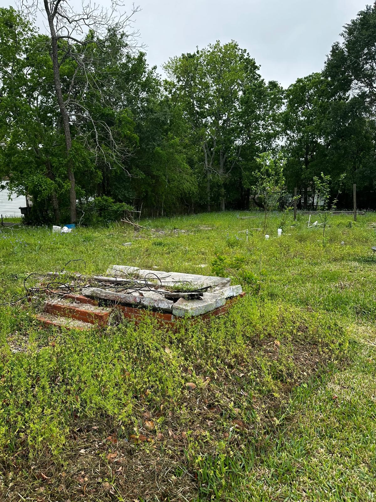 Listing photo 5