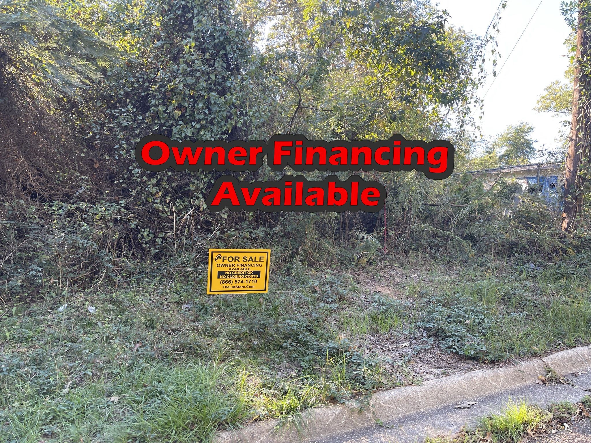 Listing photo 1