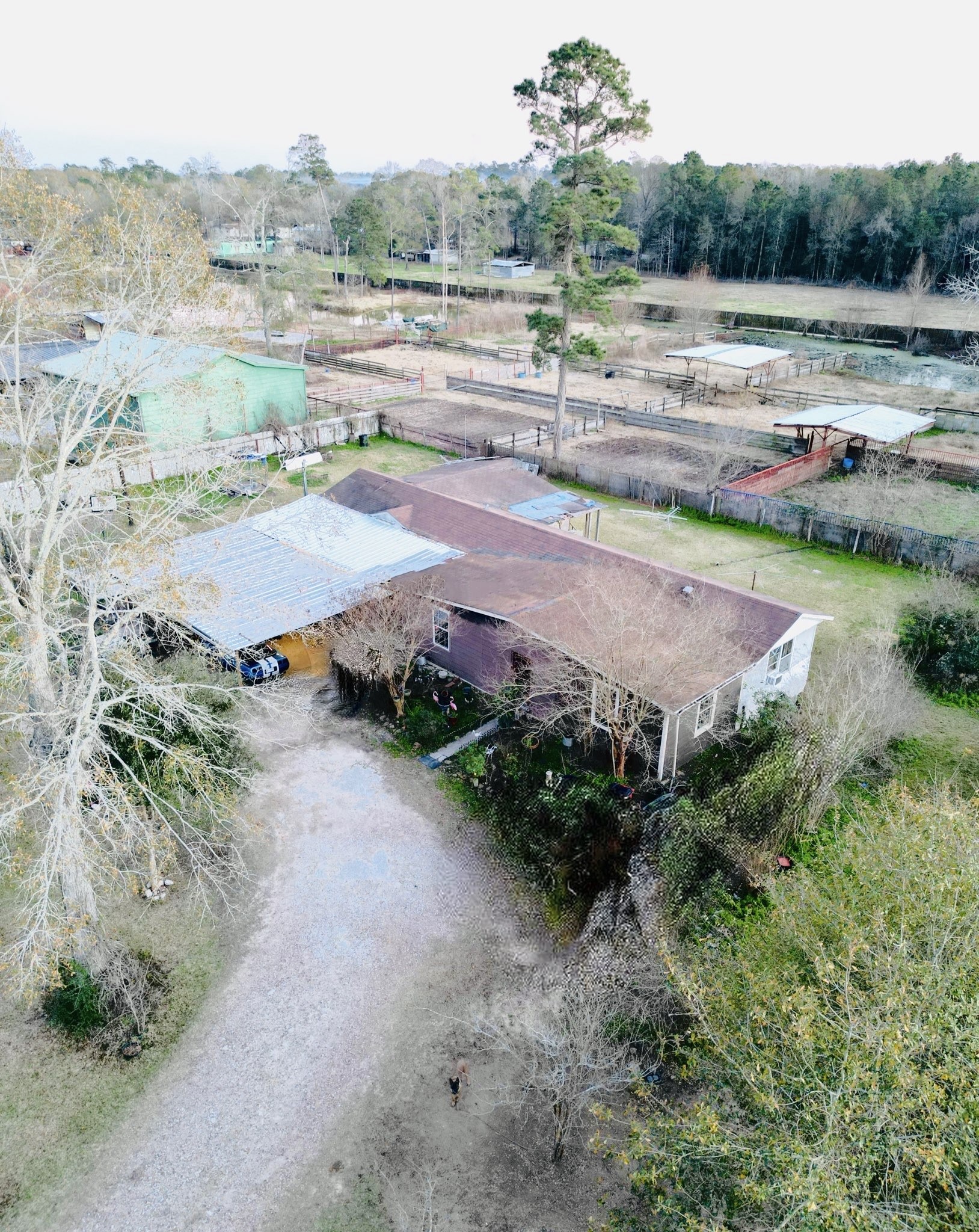 Listing photo 5
