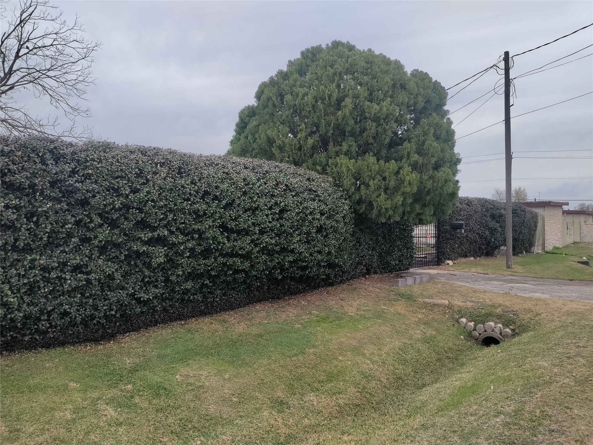 Listing photo 3