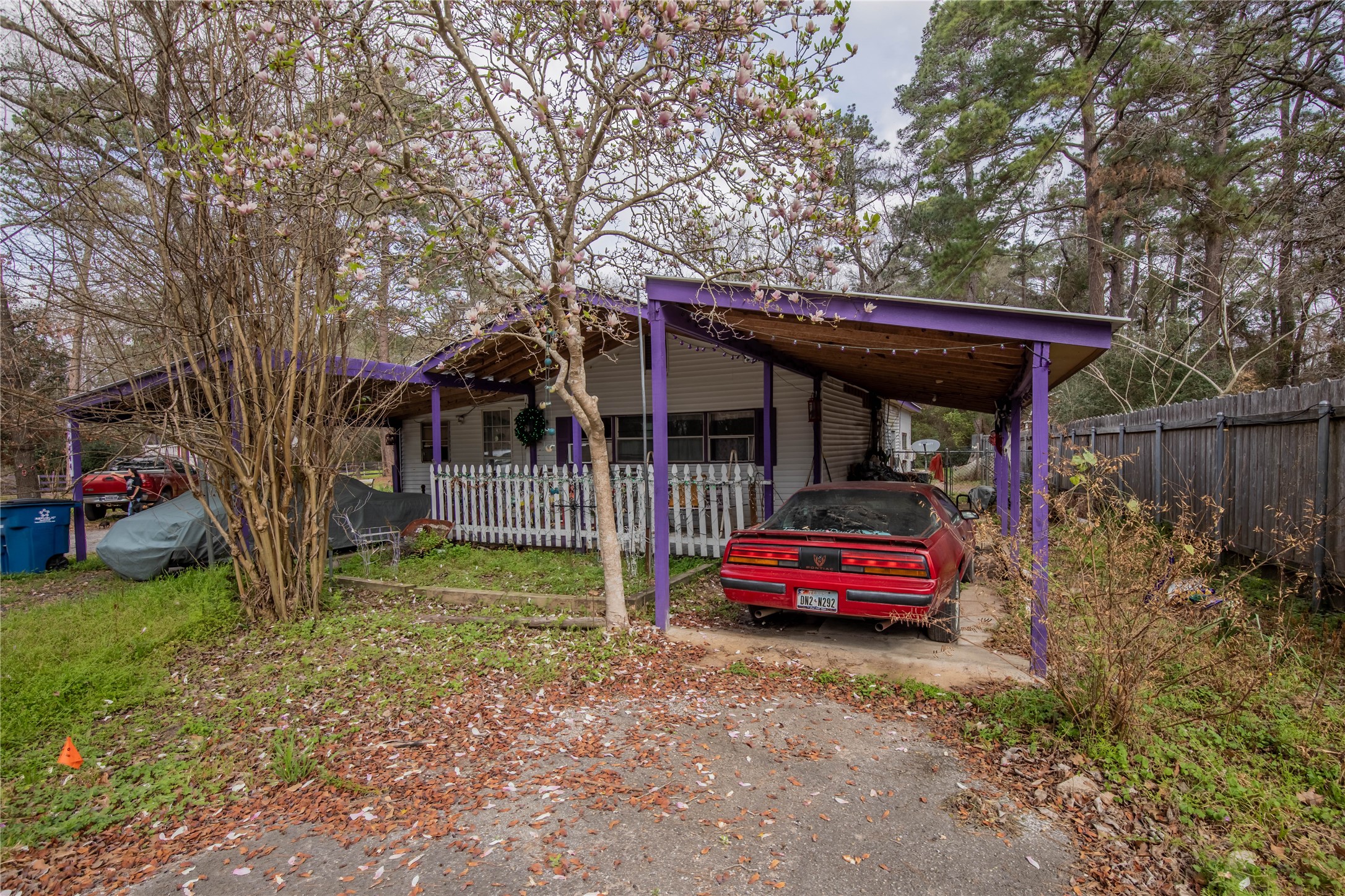 Listing photo 4