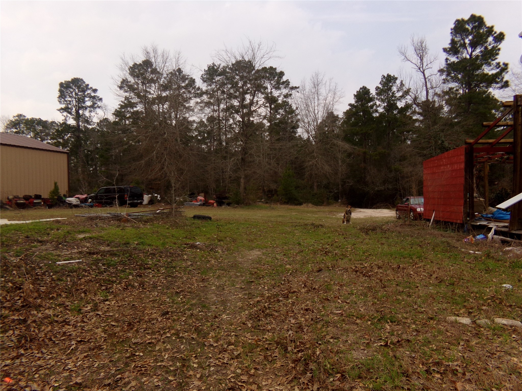 Listing photo 4