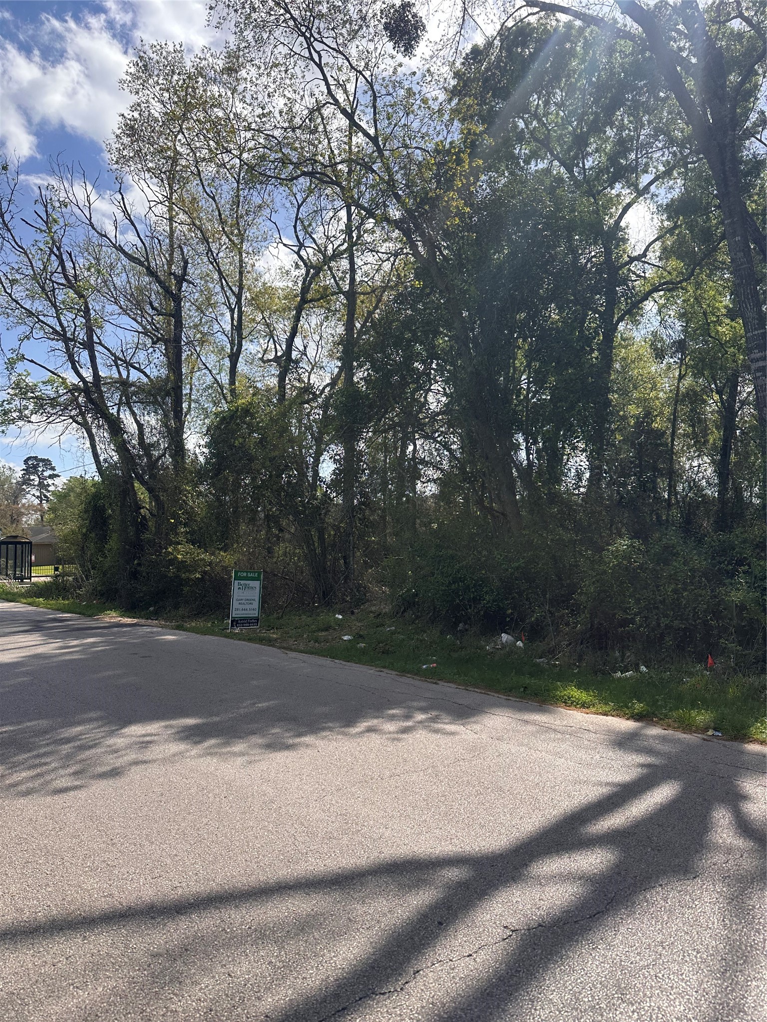 Listing photo 5