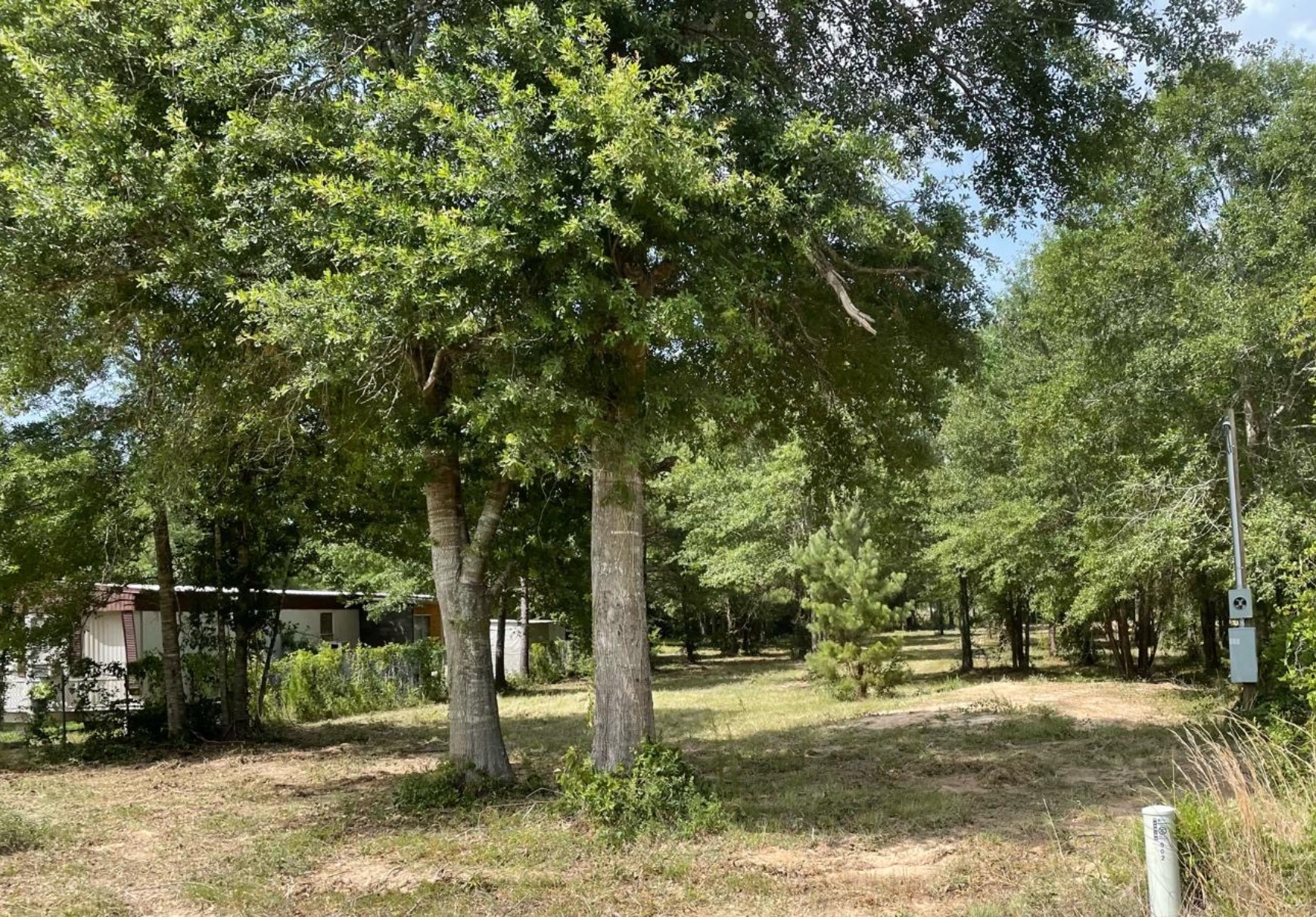 Listing photo 4