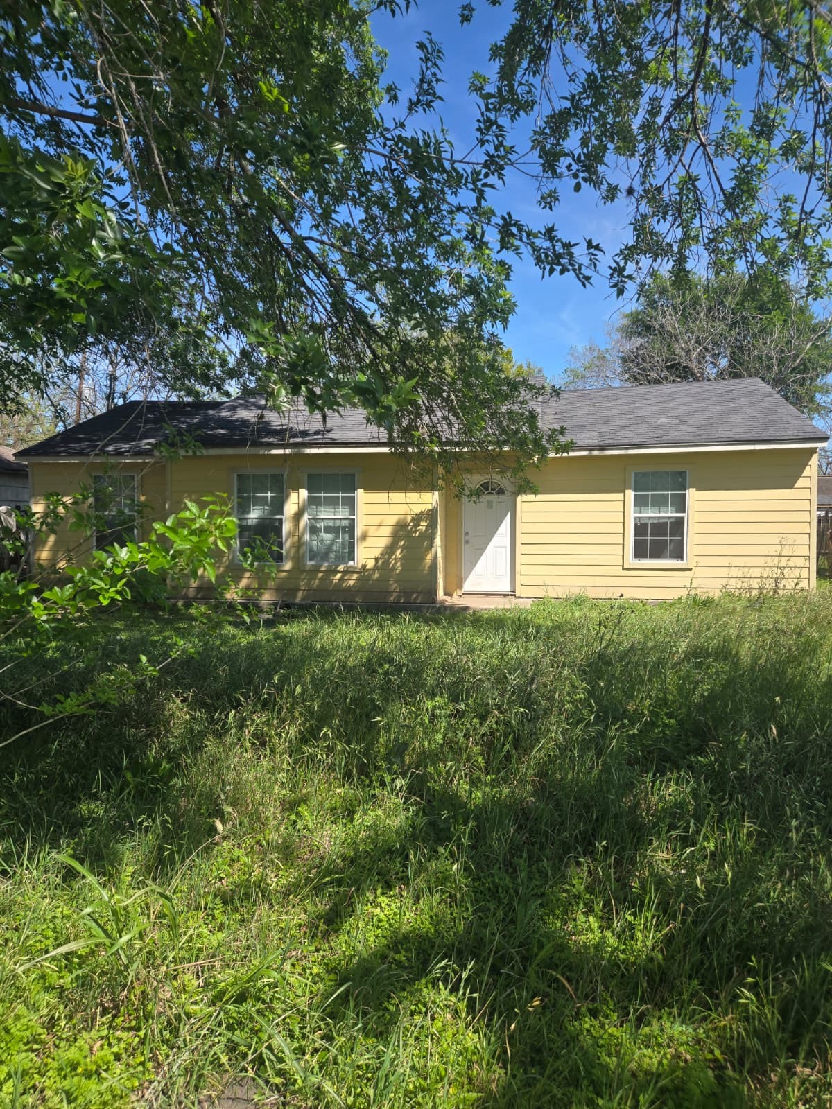 Listing photo 1