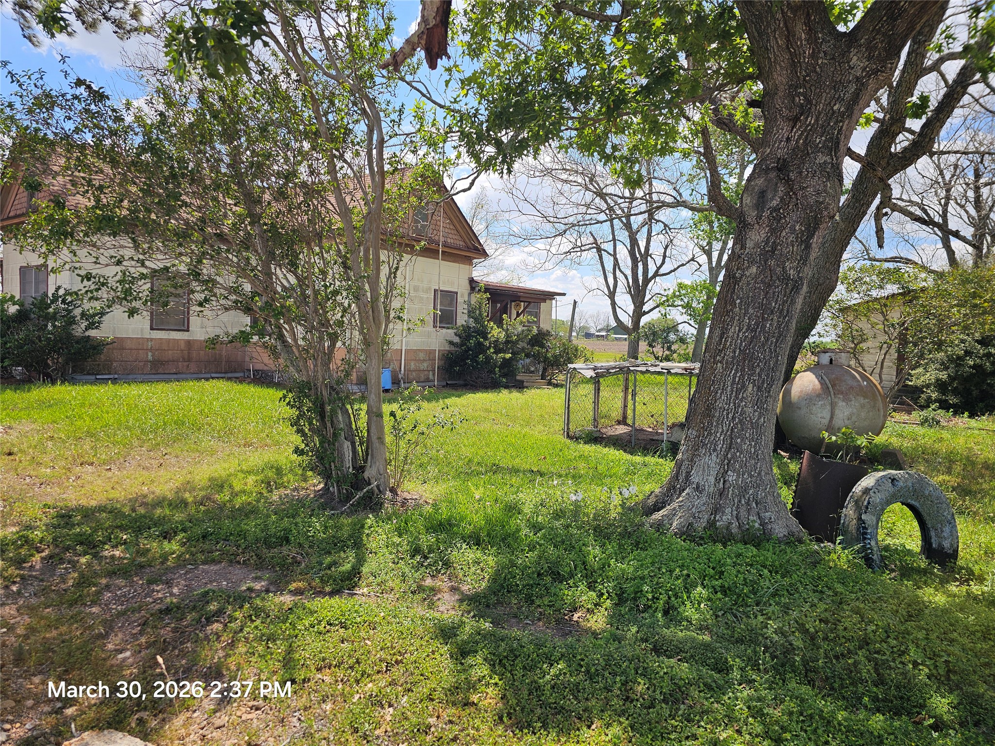 Listing photo 4