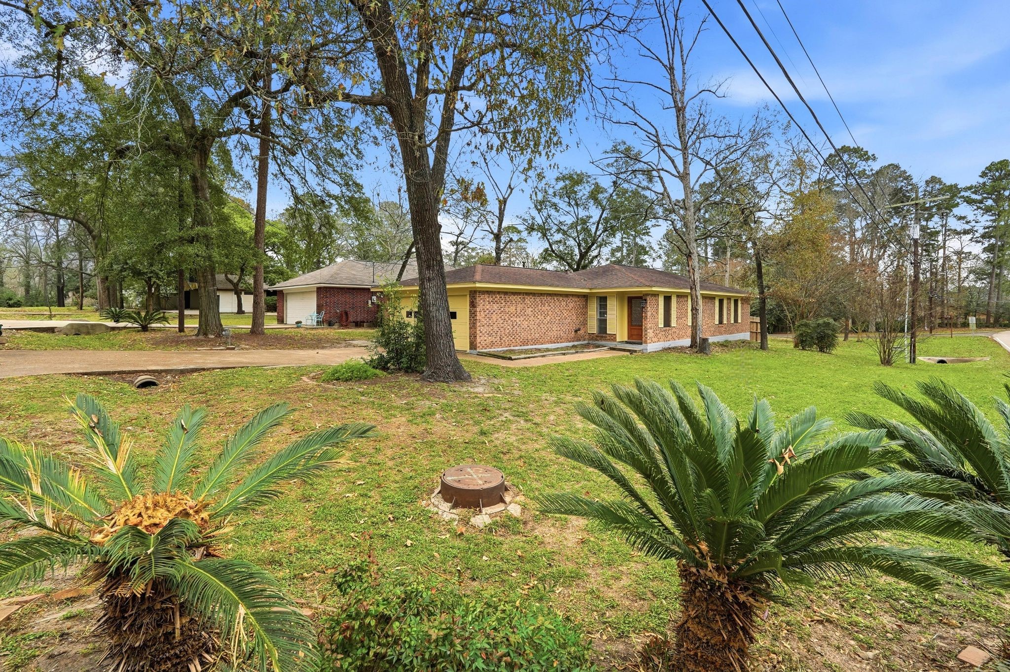 Listing photo 1