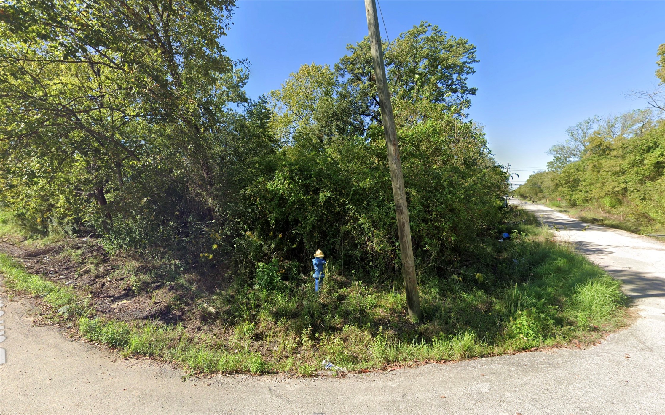 Listing photo 4