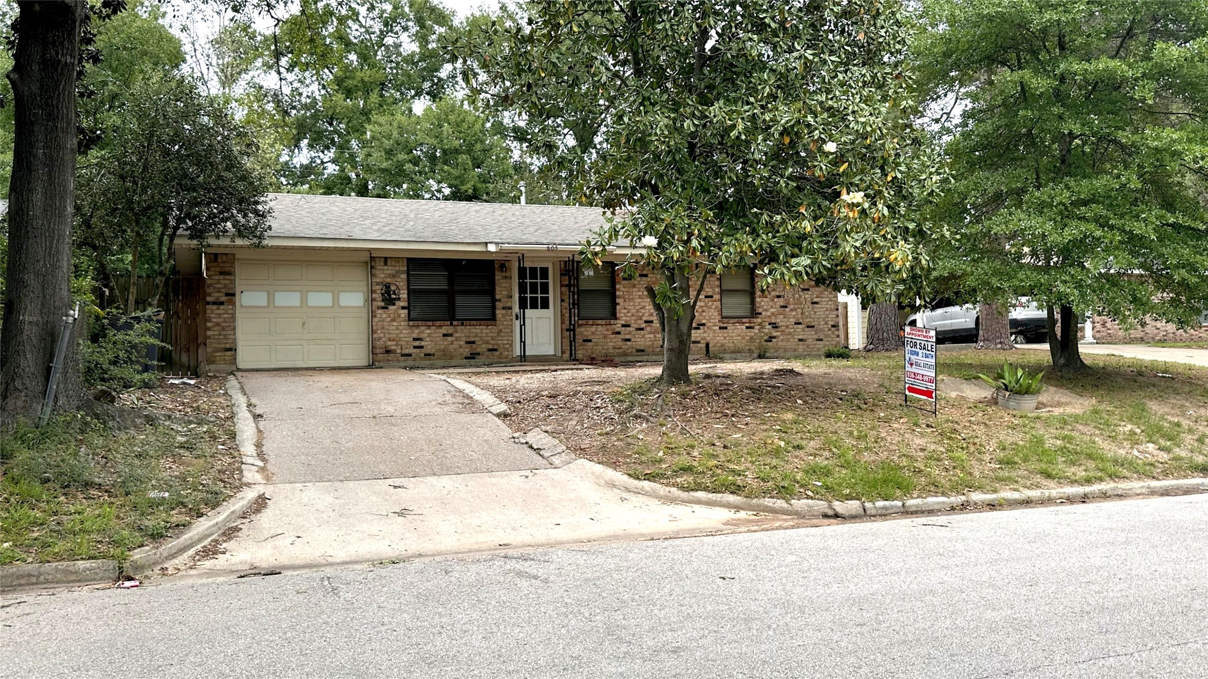 Listing photo 1