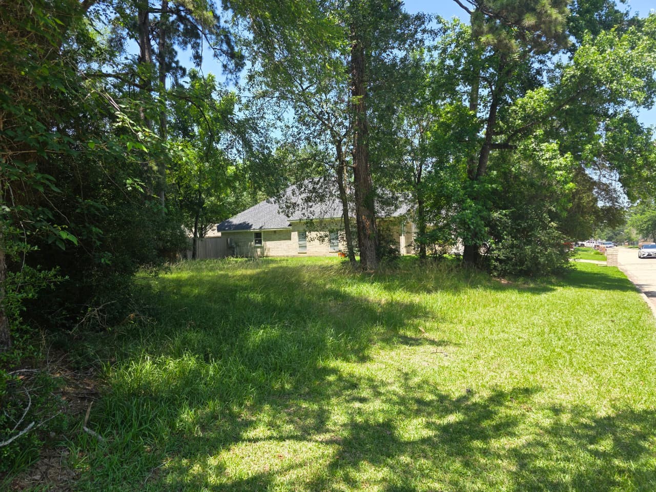 Listing photo 5