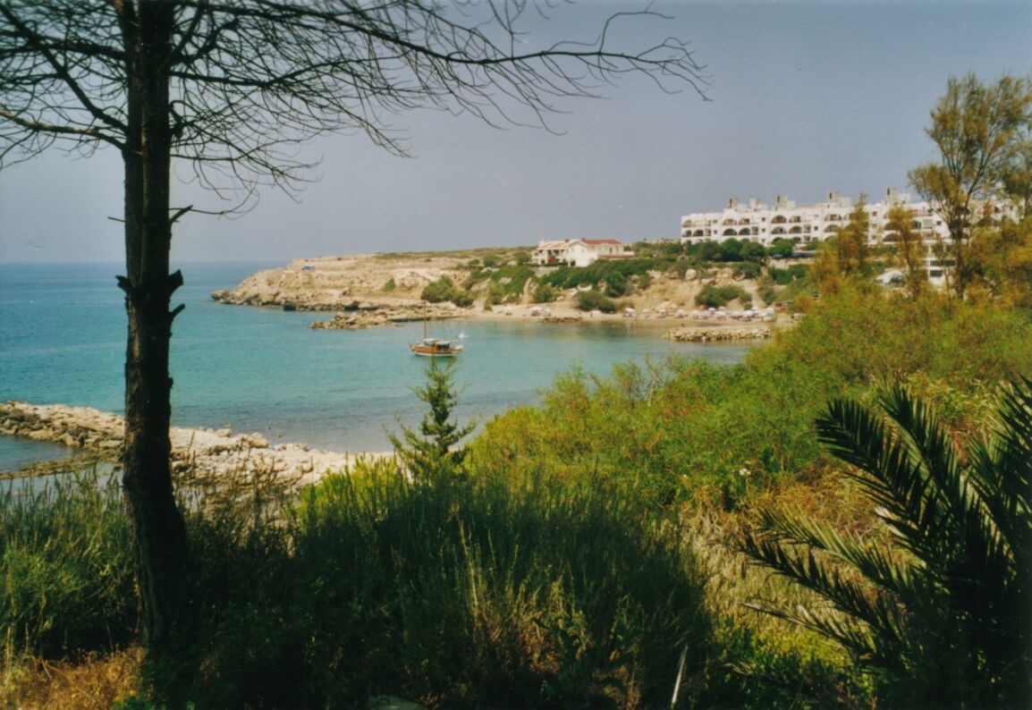 Listing photo 3