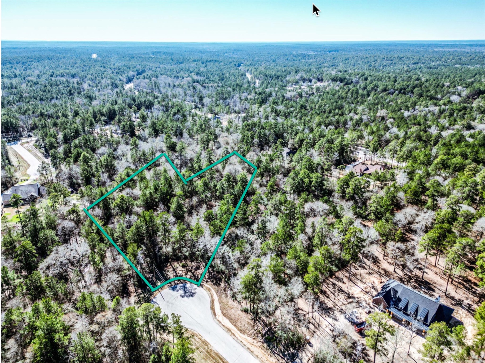 Listing photo 1