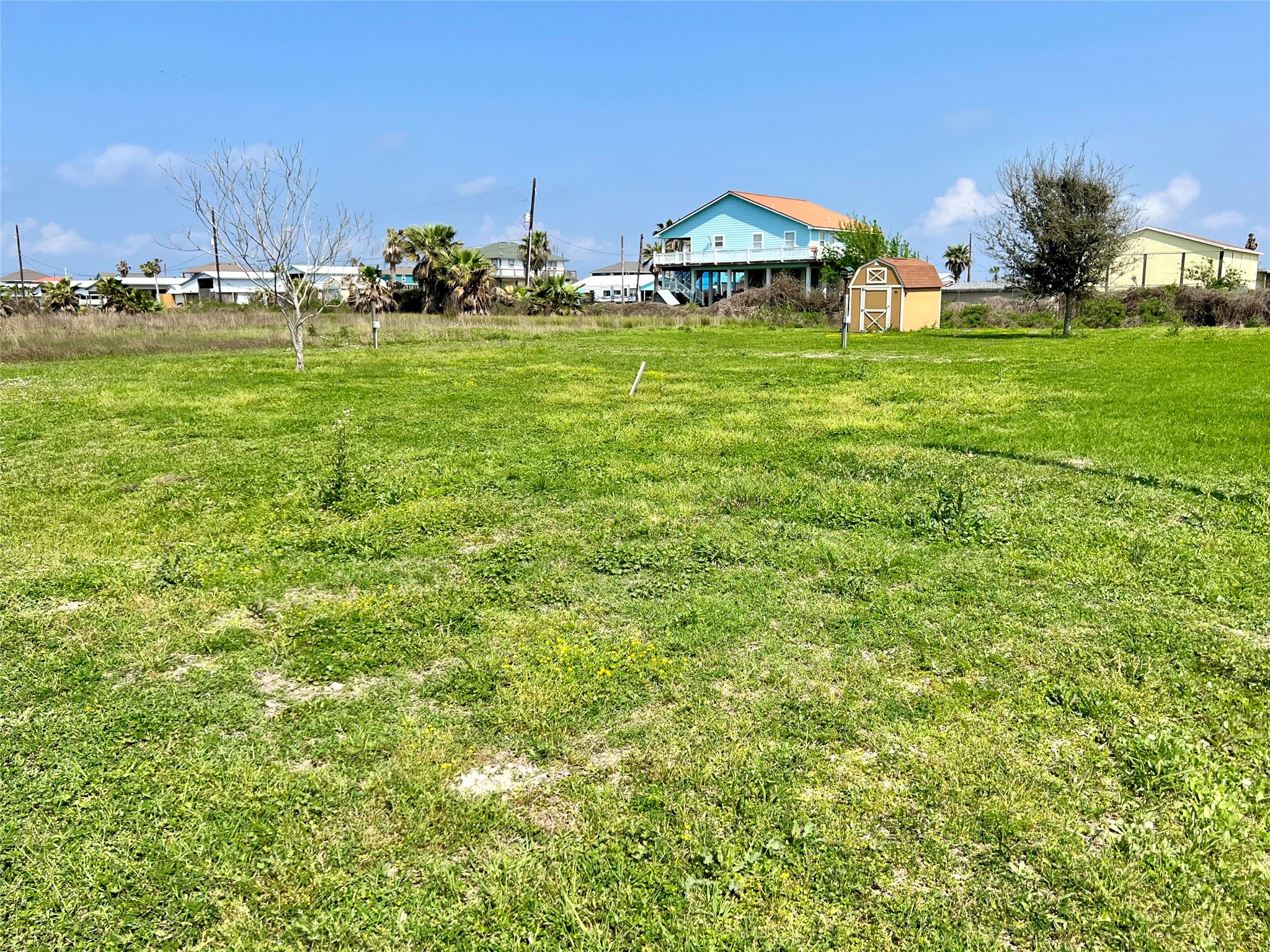 Listing photo 5