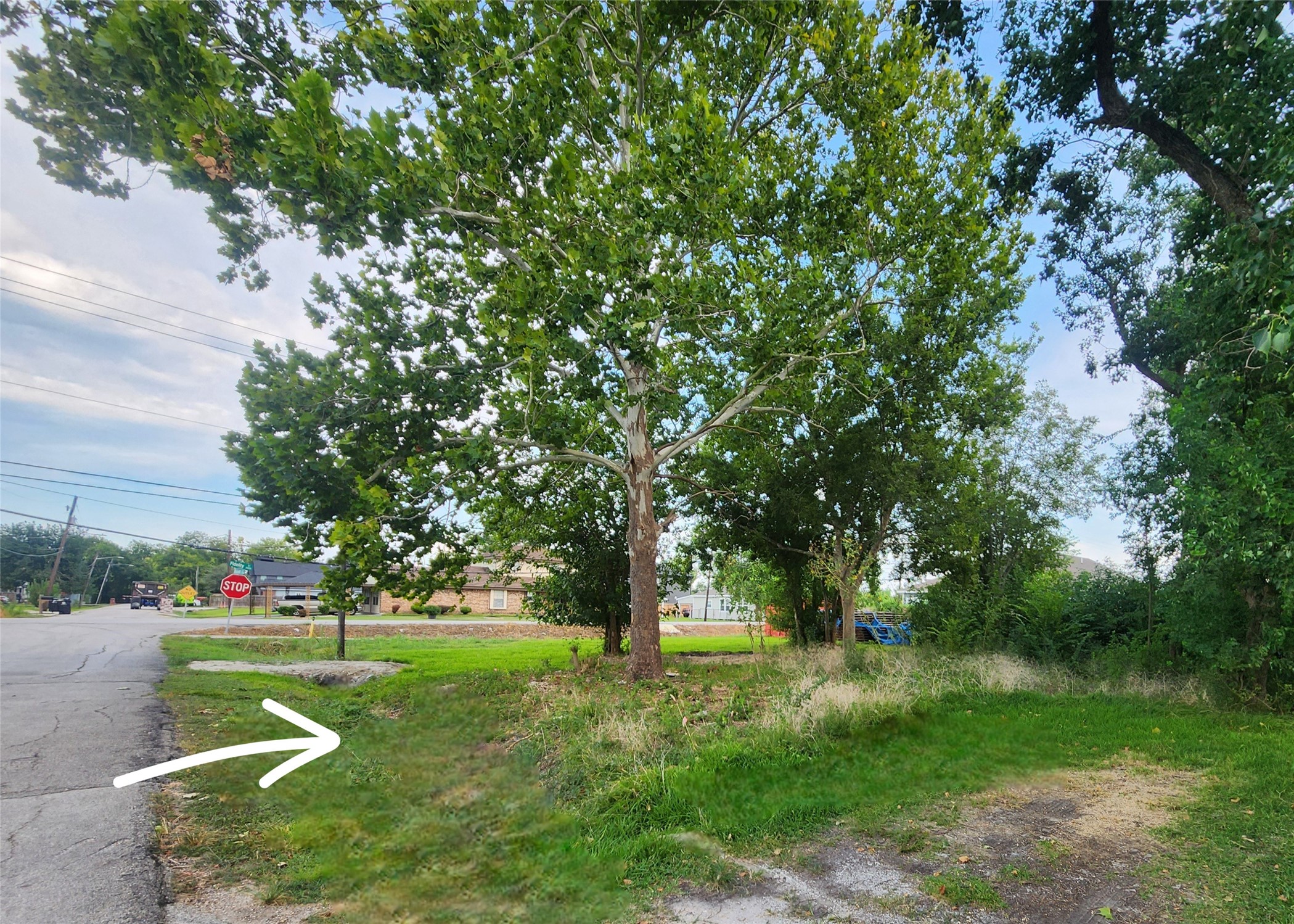 Listing photo 4