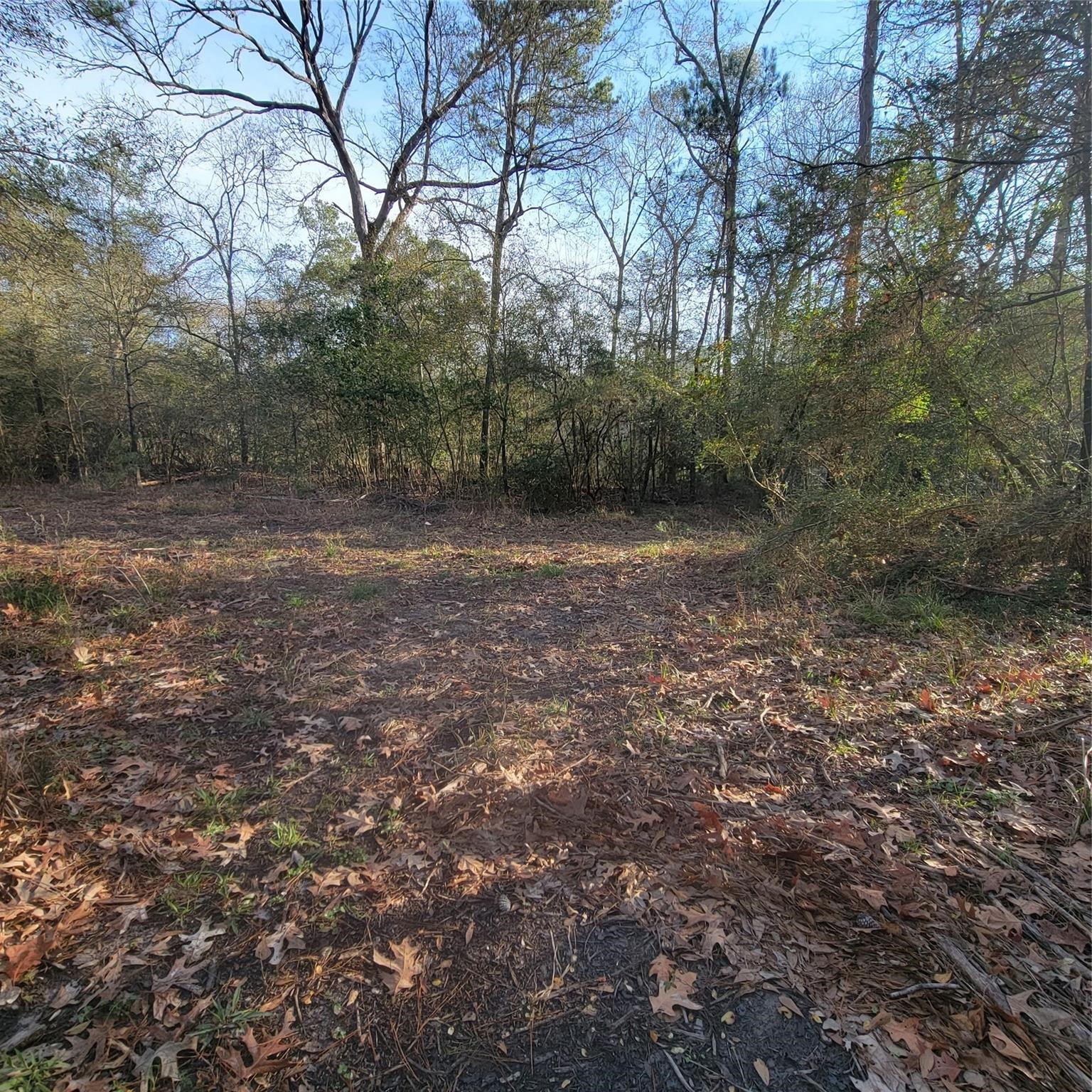 Listing photo 5