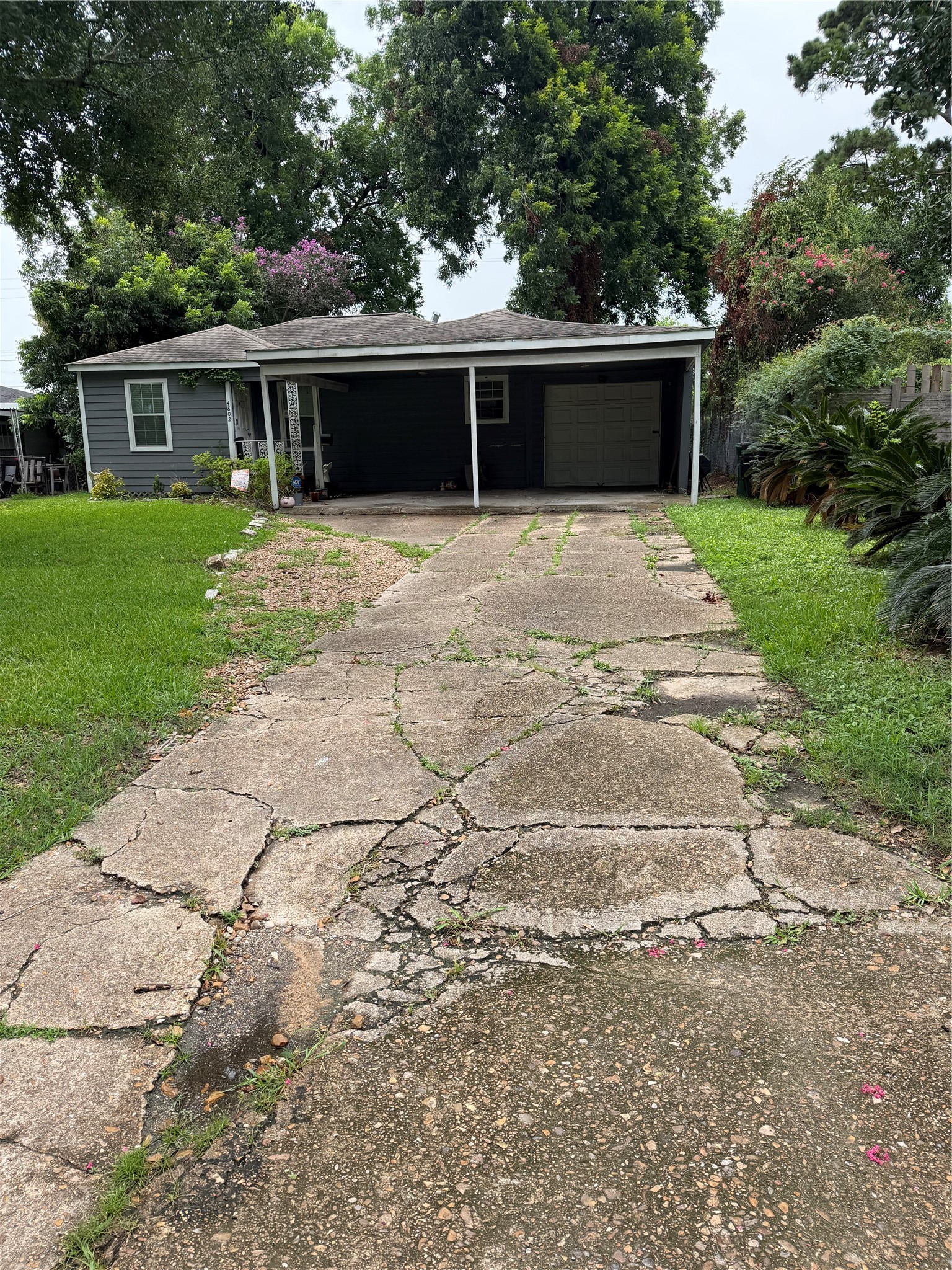 Listing photo 5