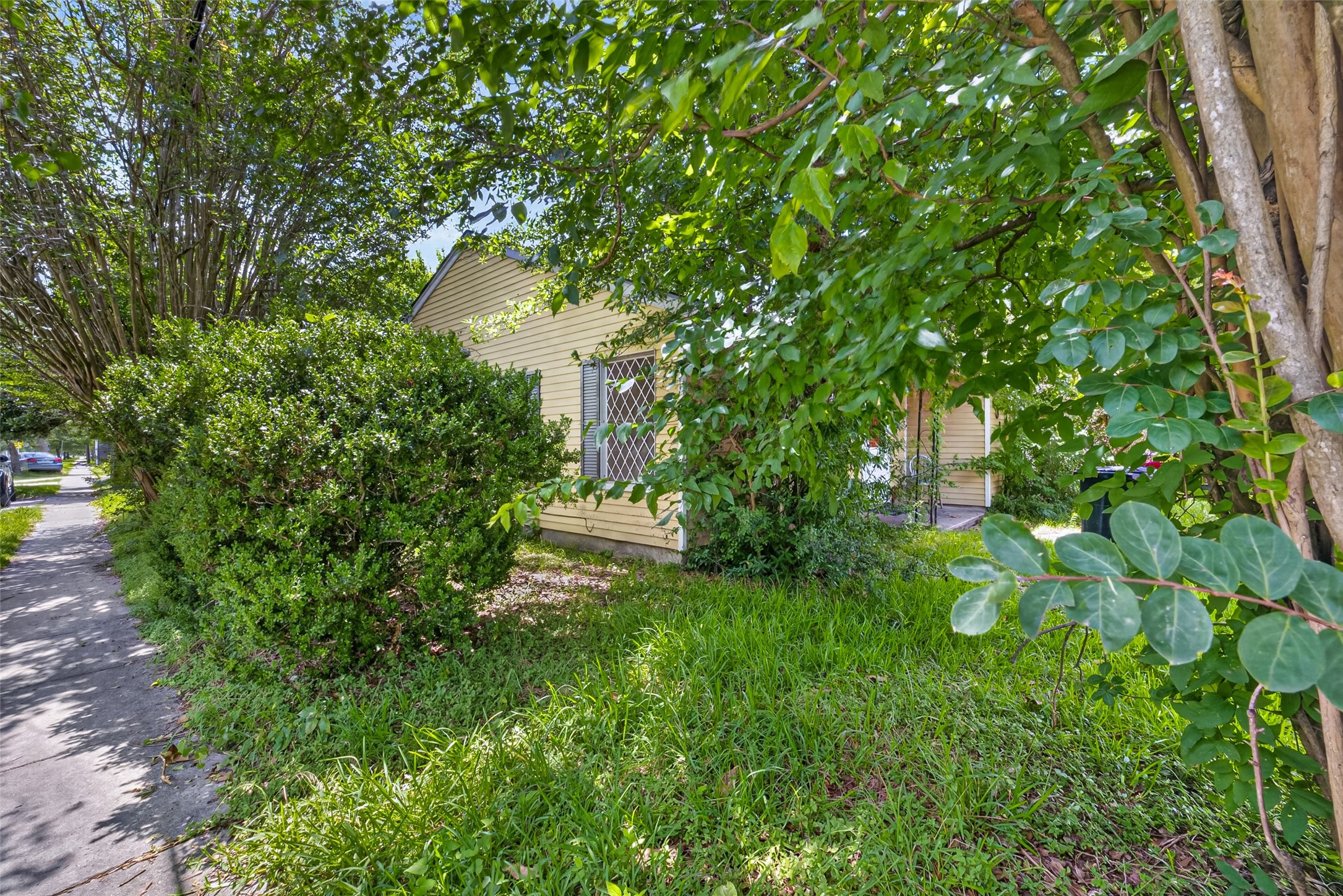 Listing photo 5