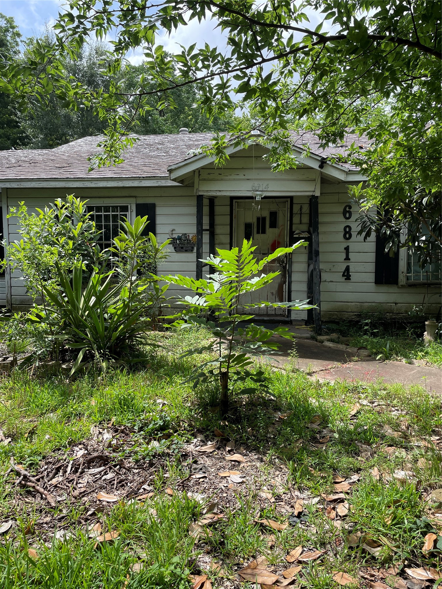 Listing photo 1