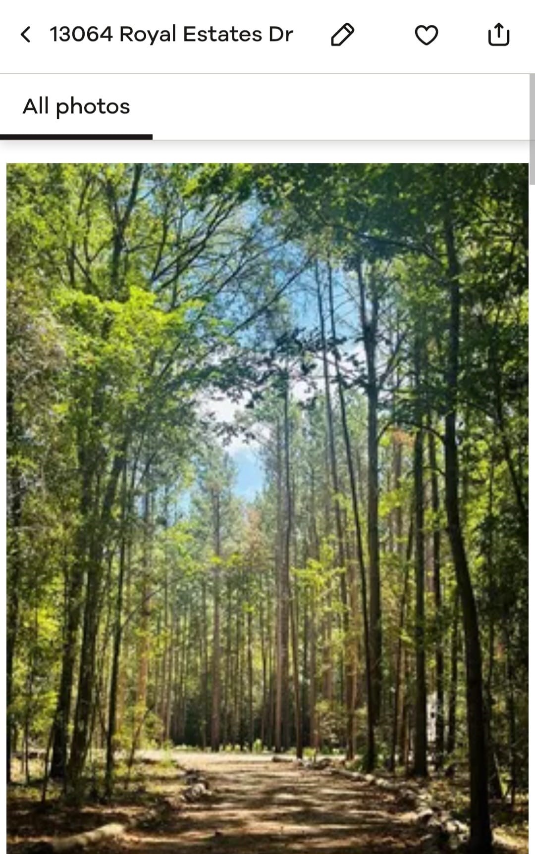 Listing photo 1