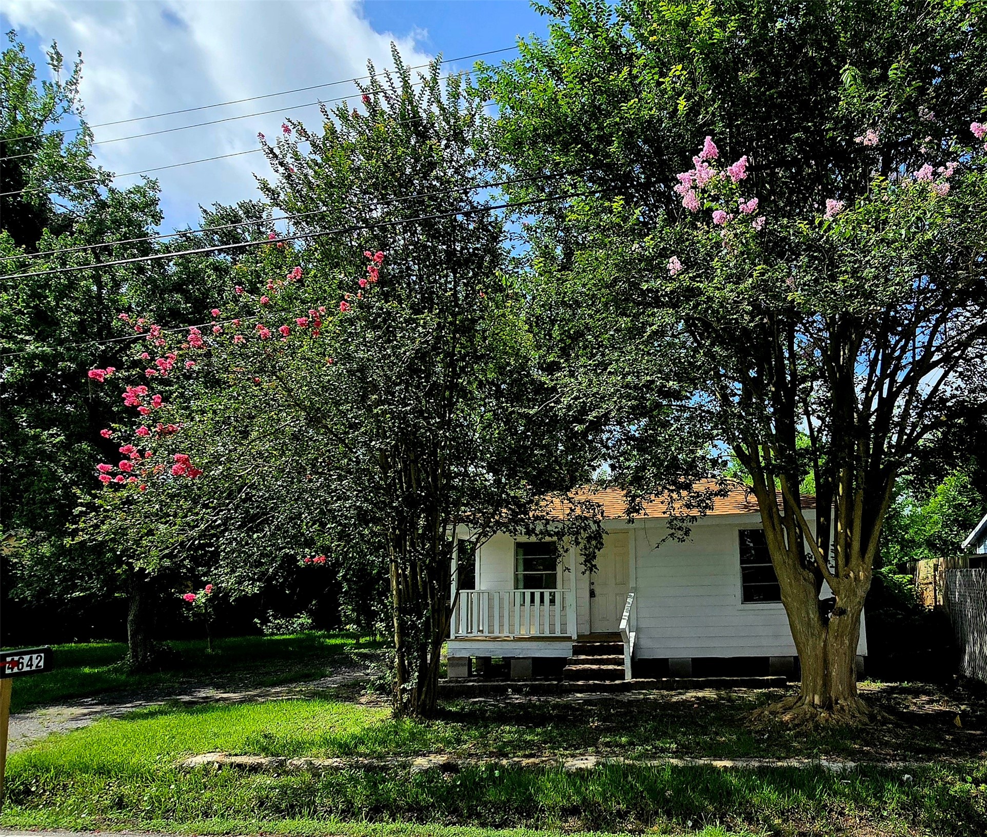 Listing photo 1