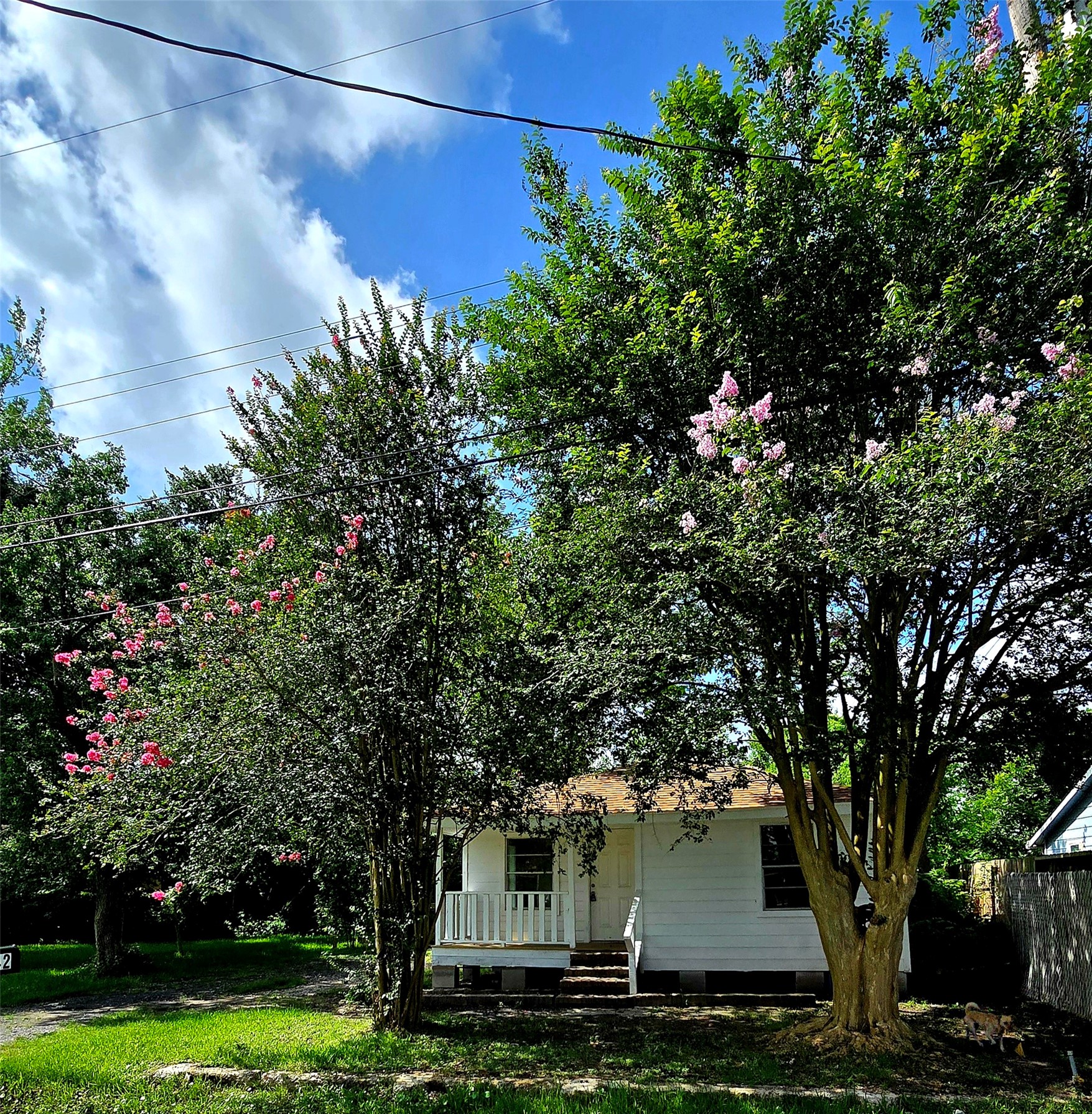 Listing photo 1
