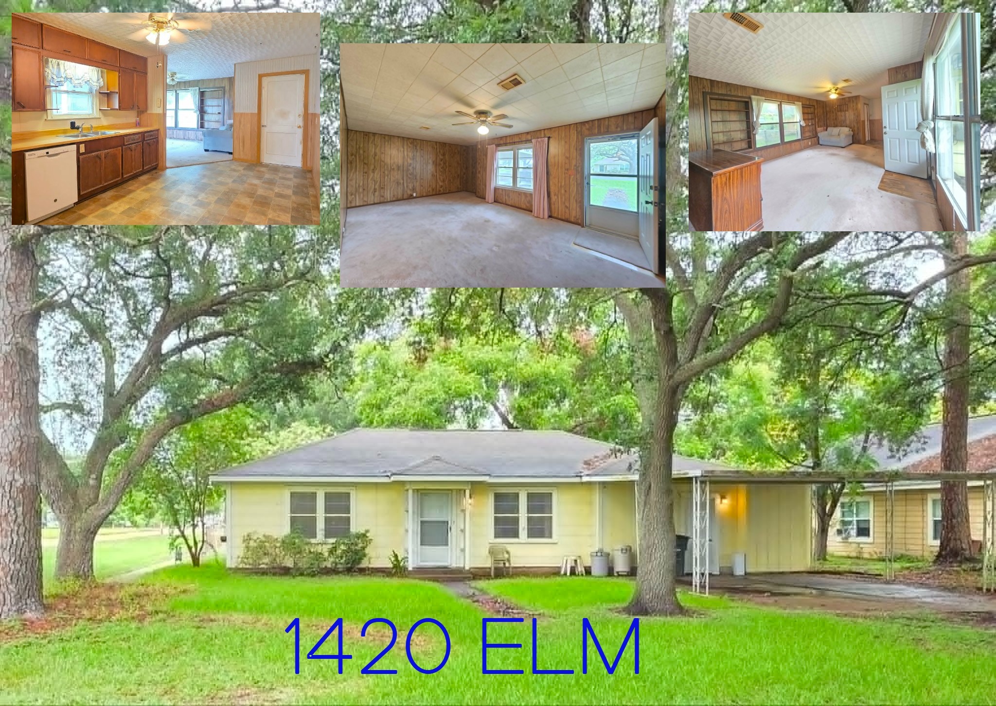 Listing photo 1