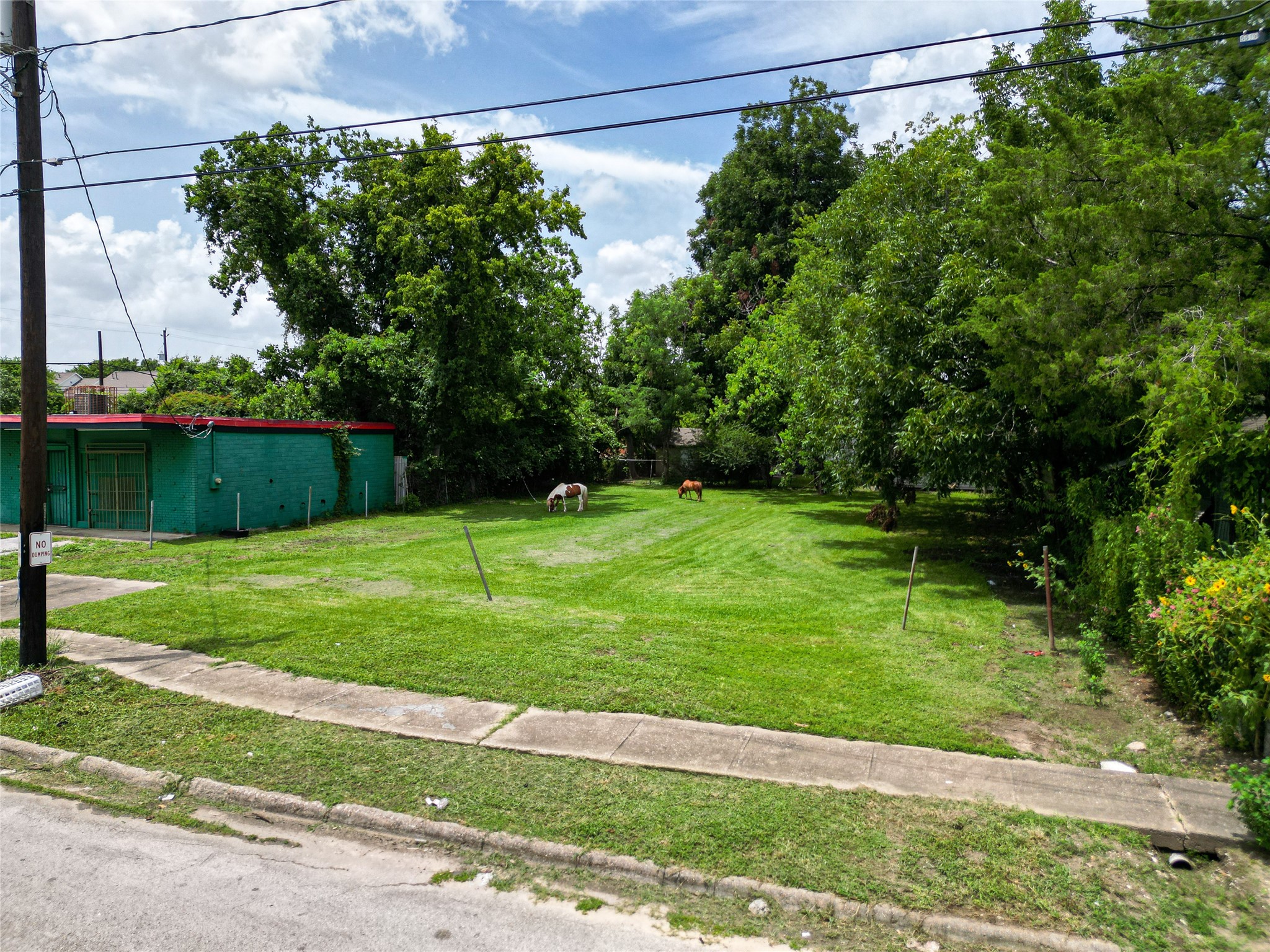 Listing photo 5