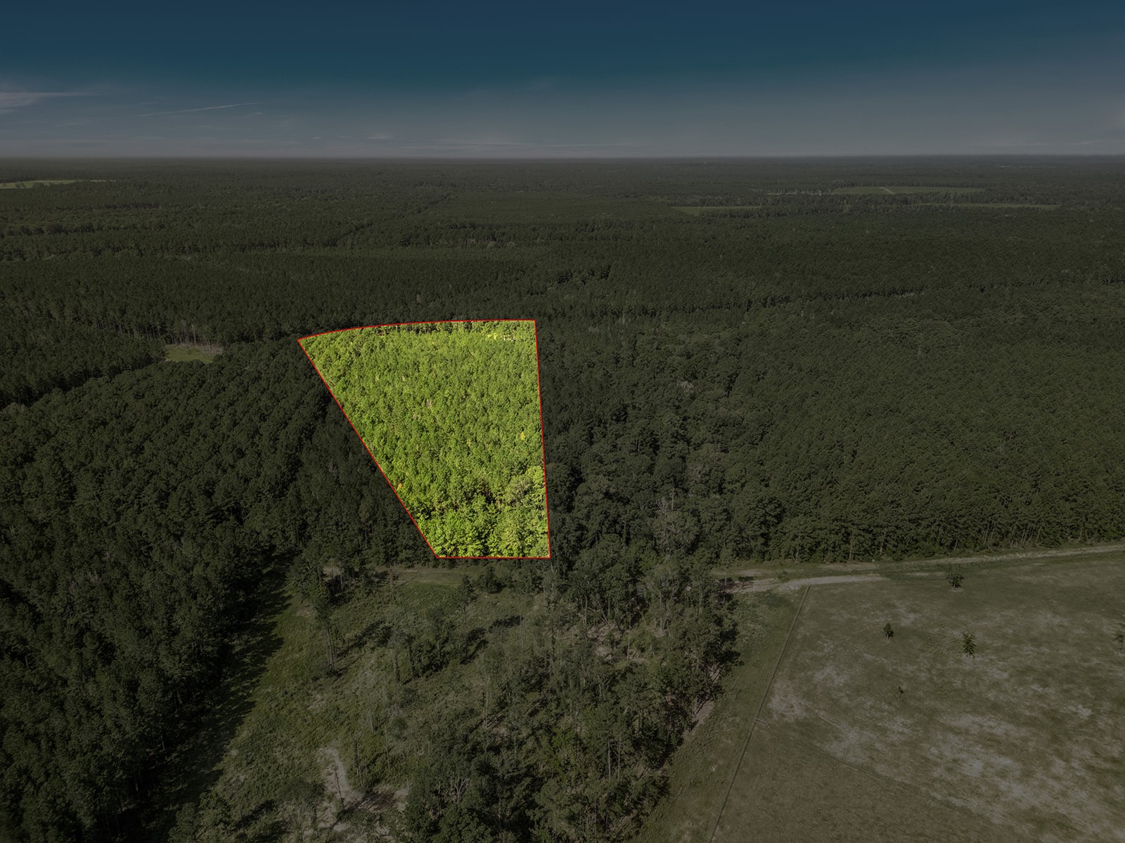 Listing photo 5