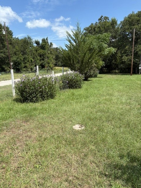 Listing photo 5