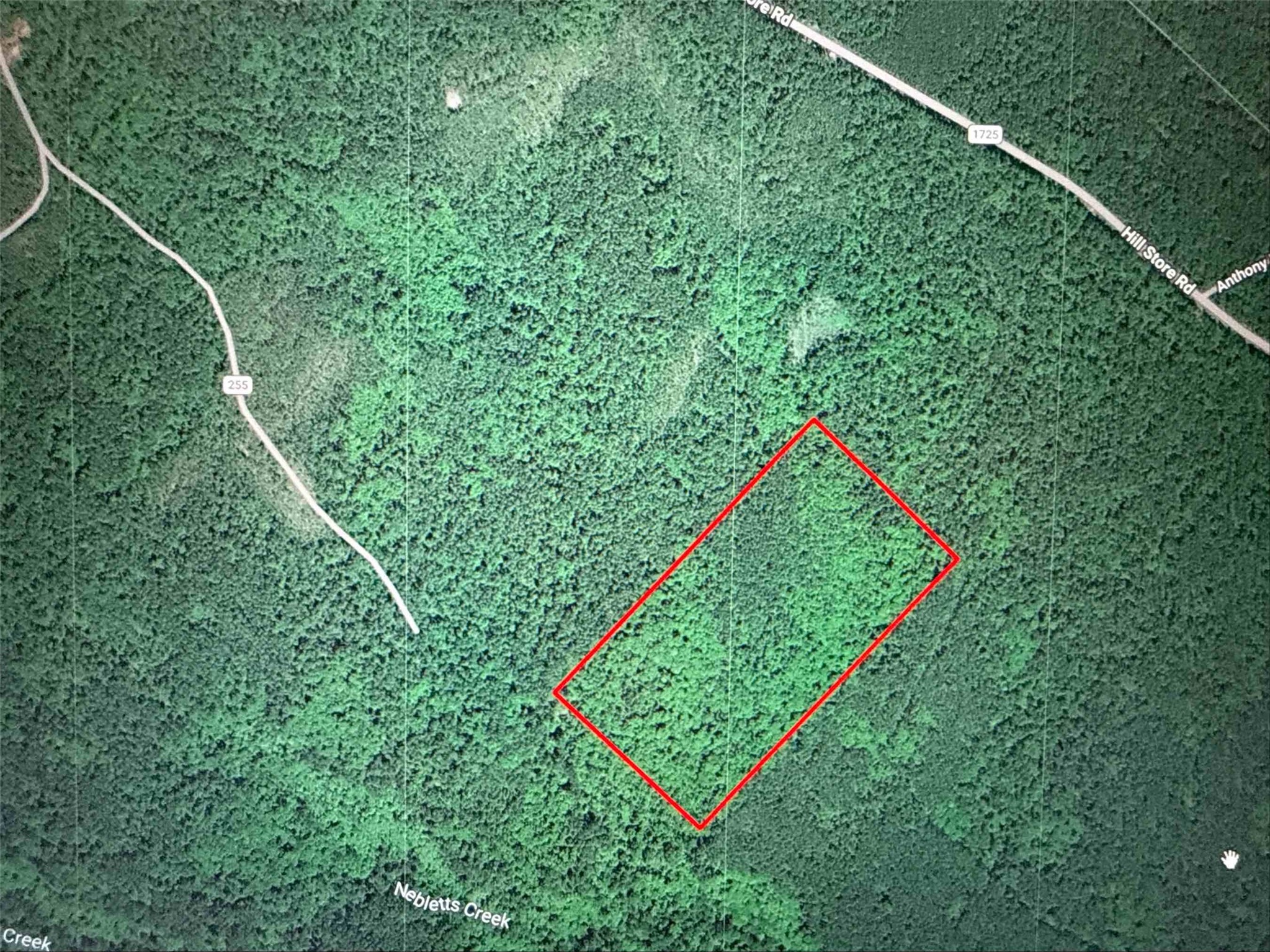 Listing photo 1