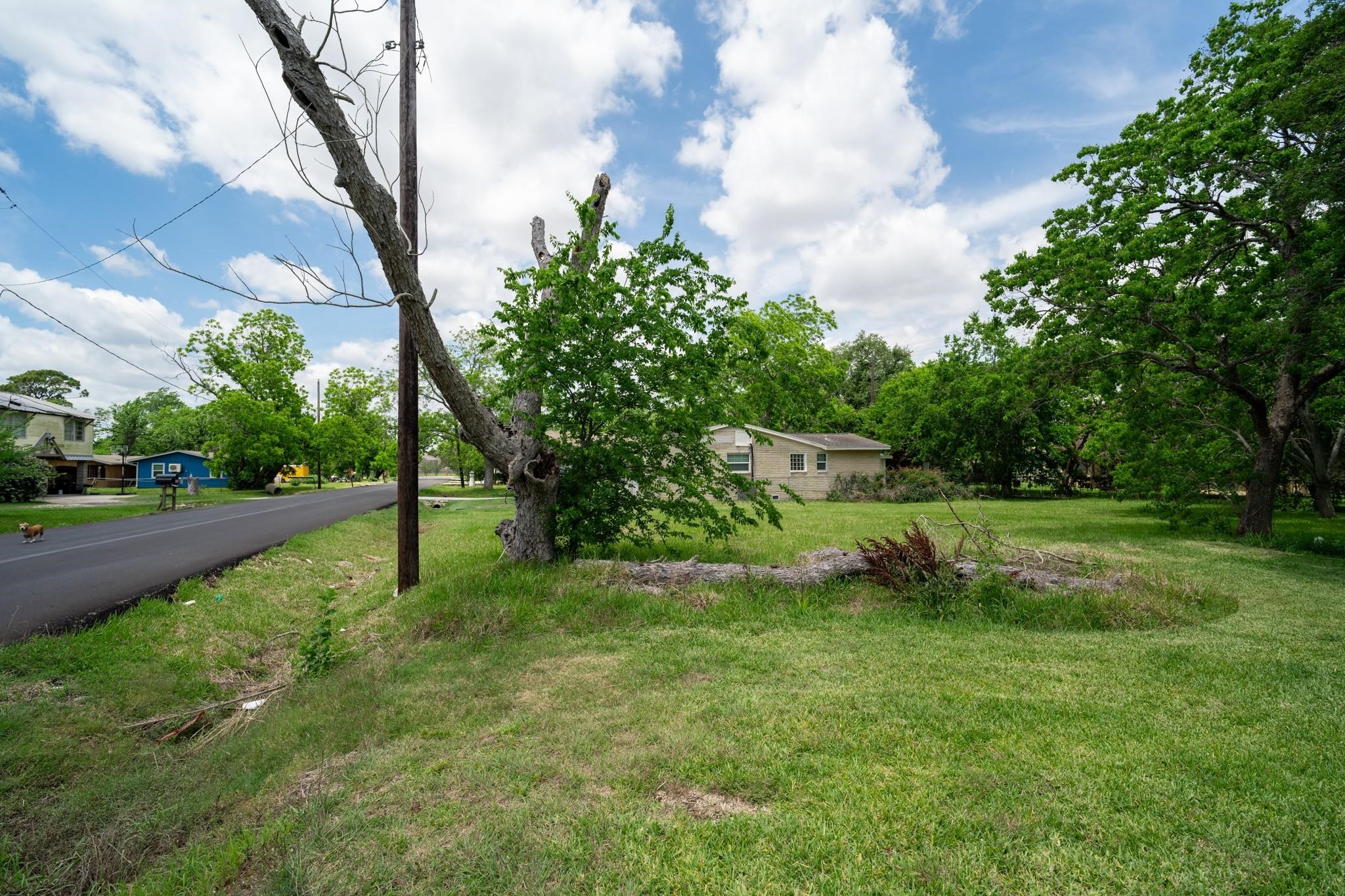 Listing photo 4