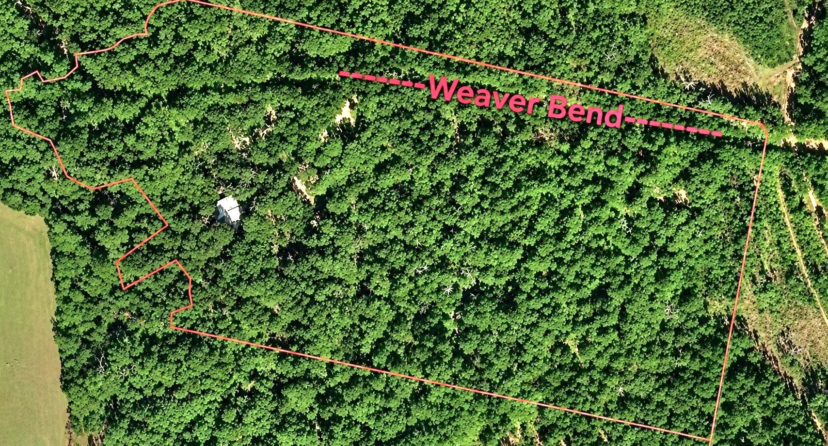 Listing photo 2