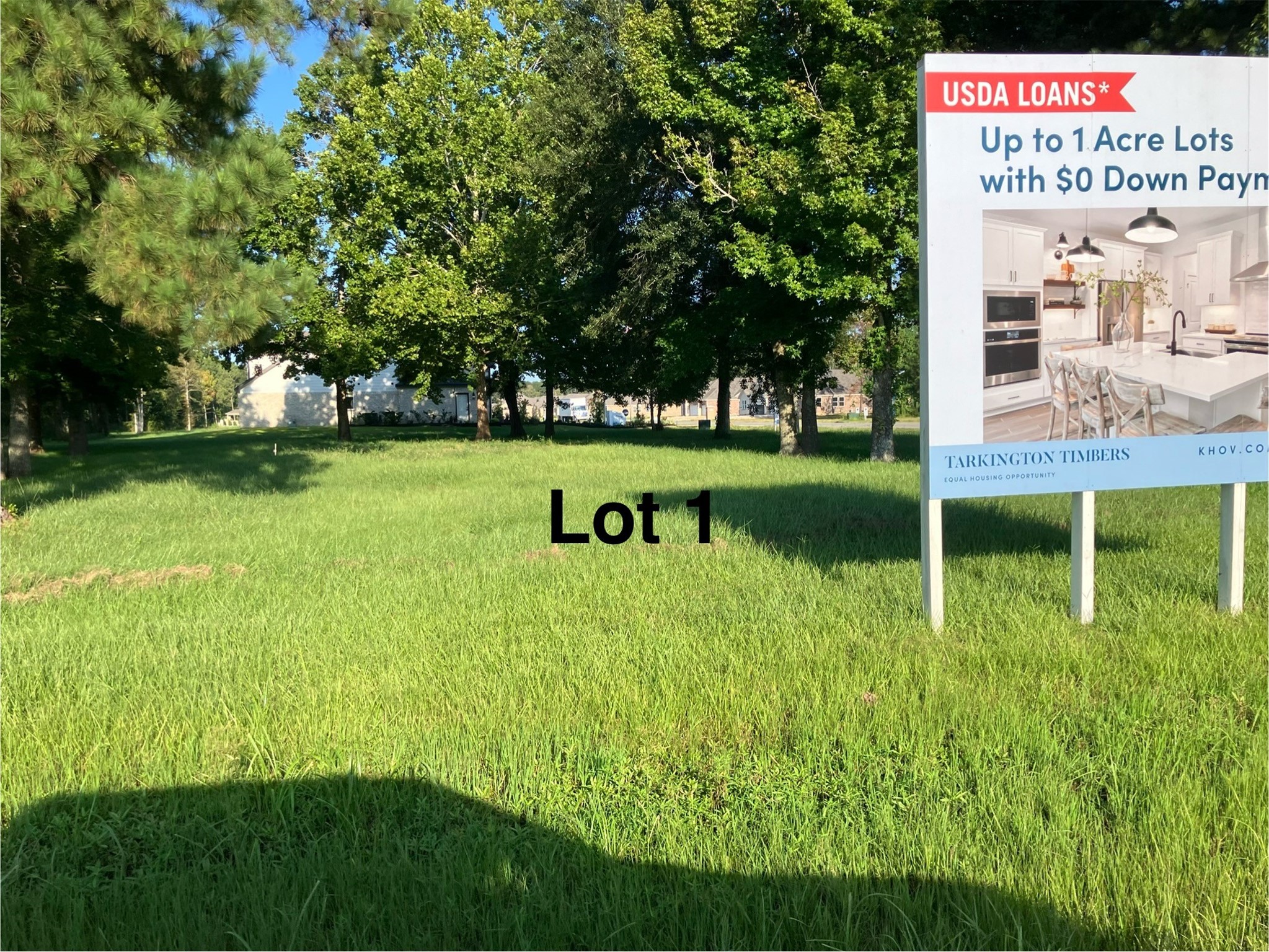 Listing photo 1