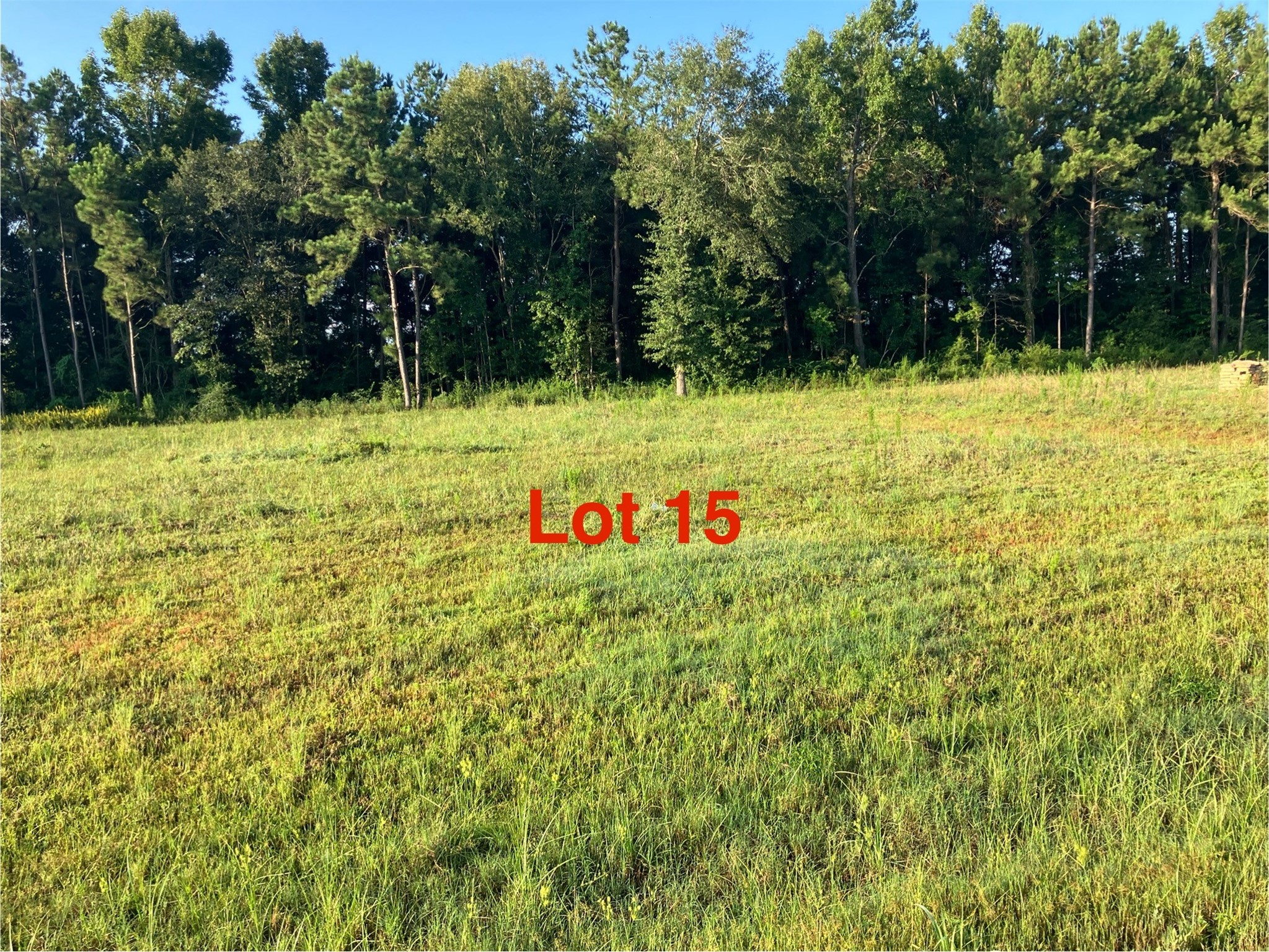 Listing photo 1