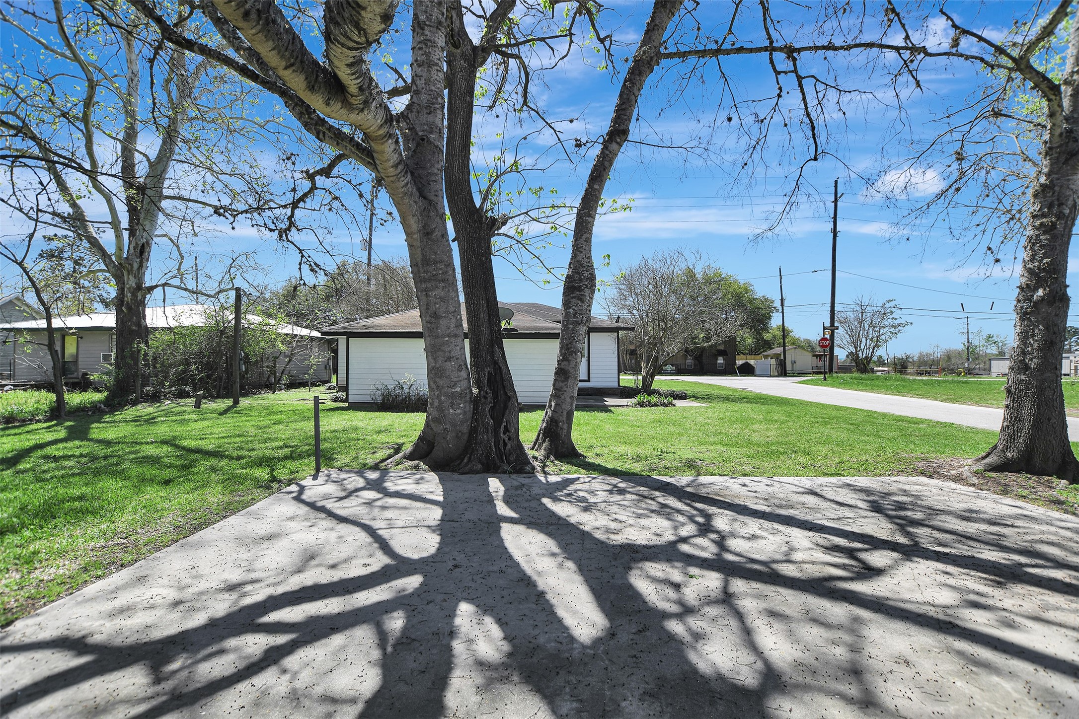 Listing photo 4