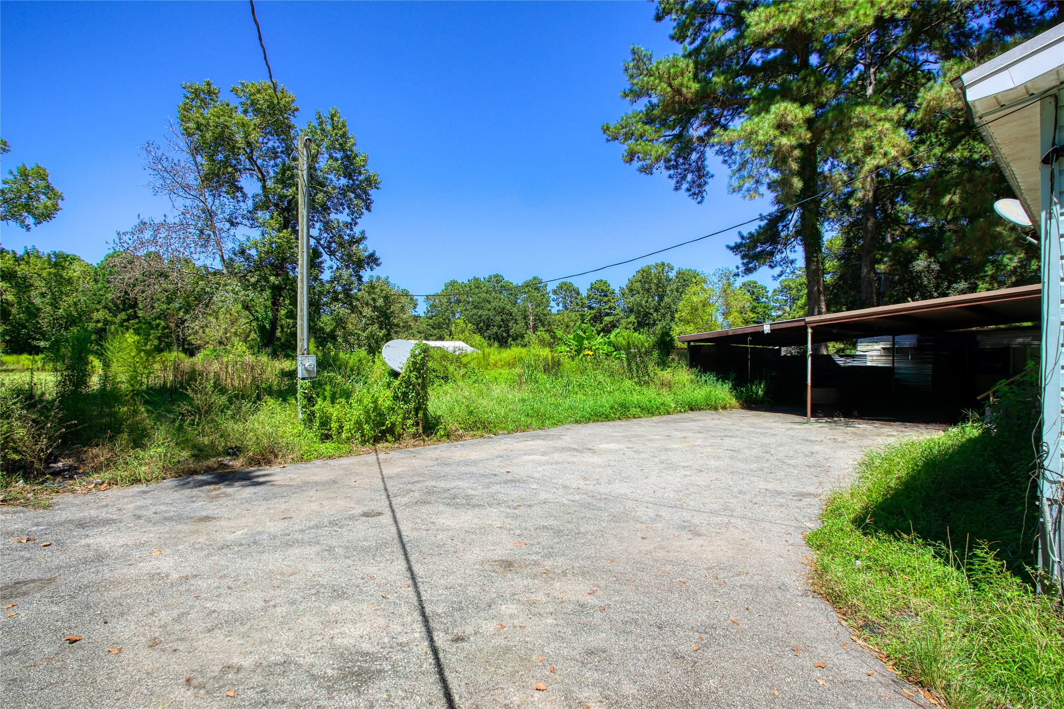Listing photo 5