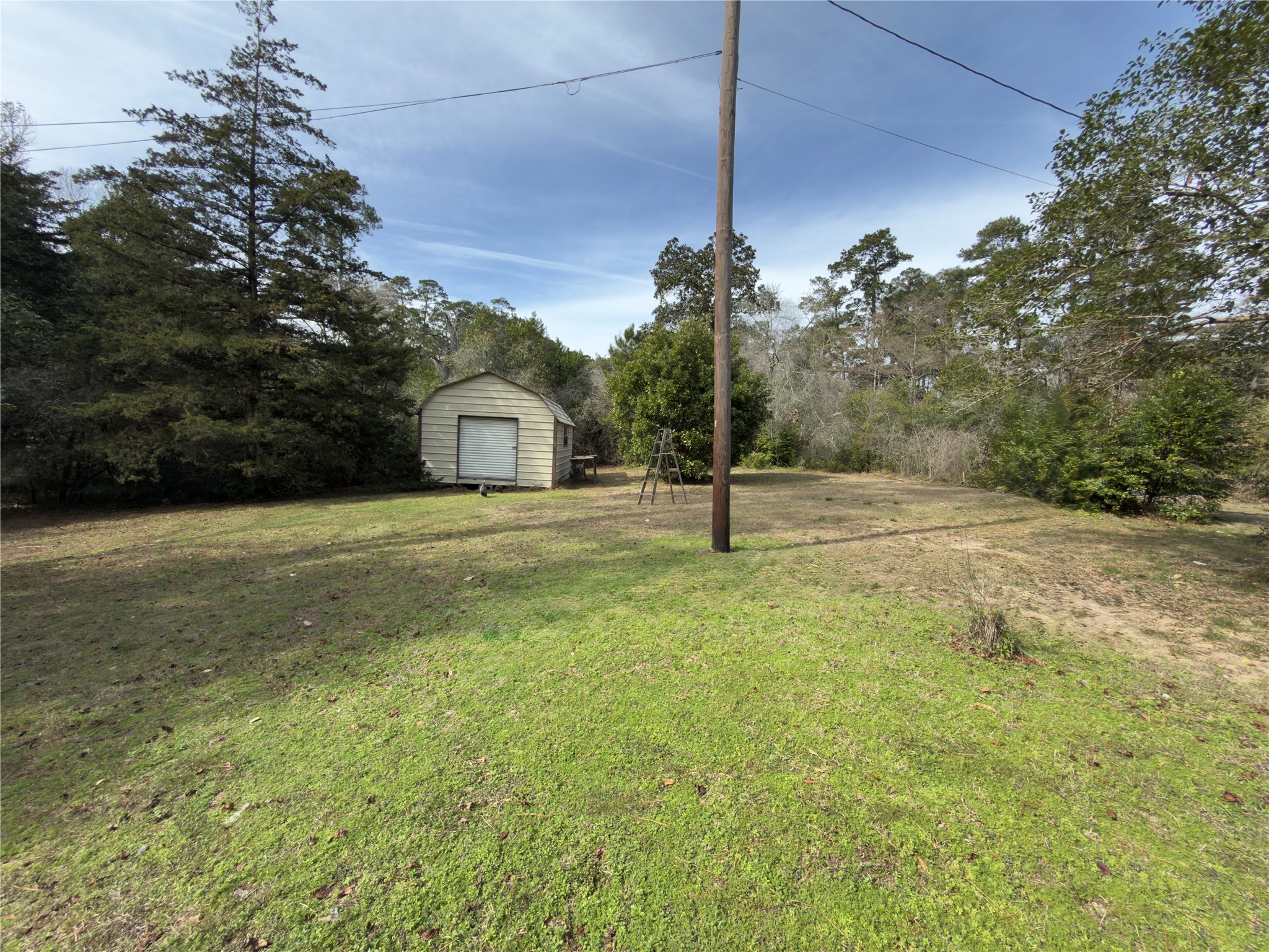 Listing photo 5